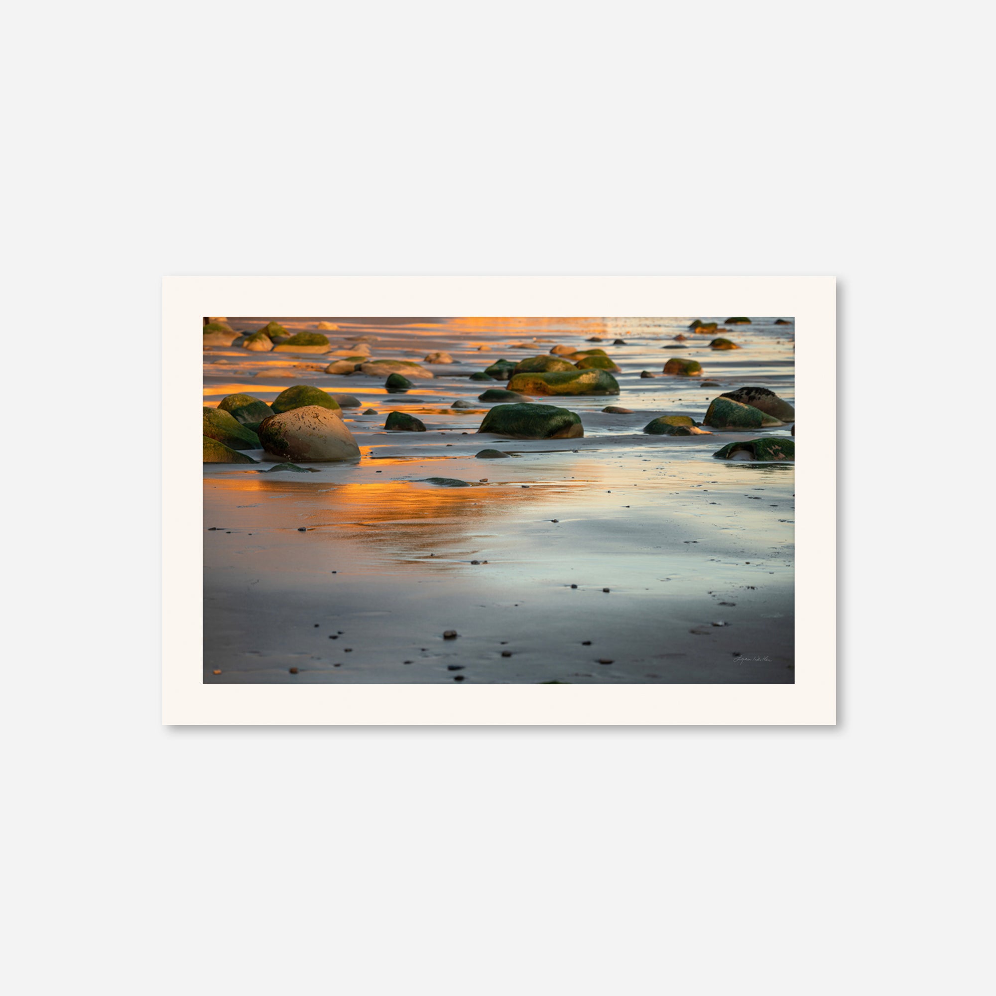 Reflections no. 19