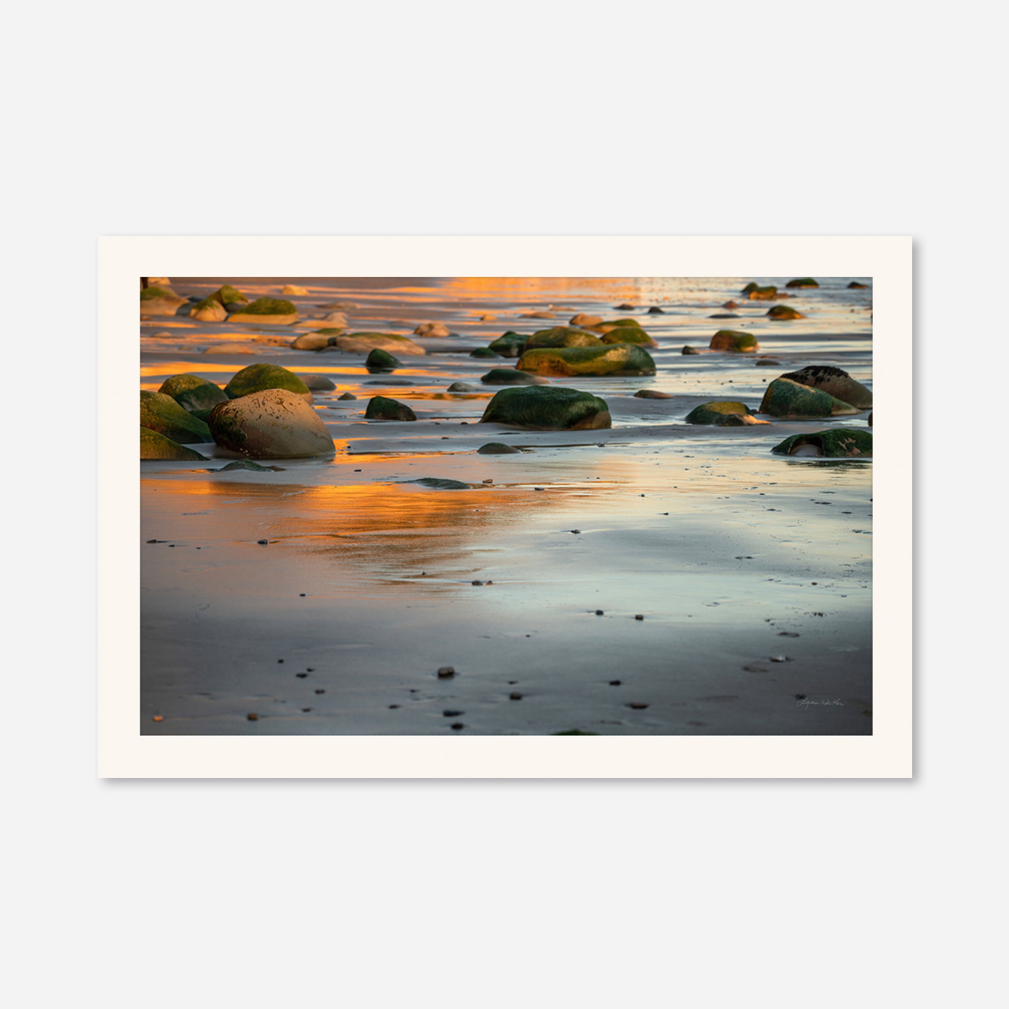 Reflections no. 19