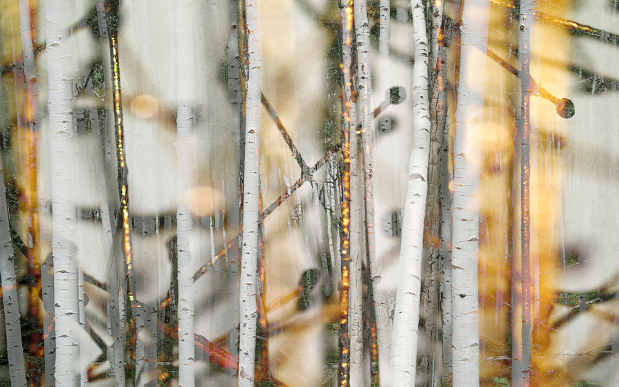 Resonance no.3