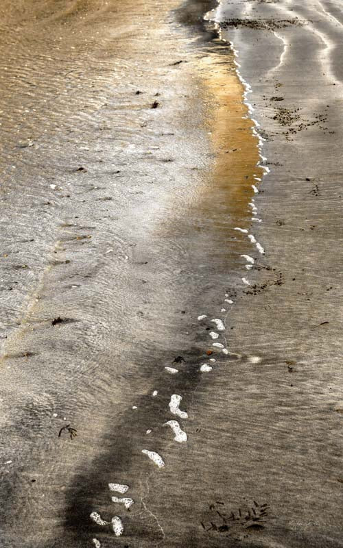 Seaside no. 11
