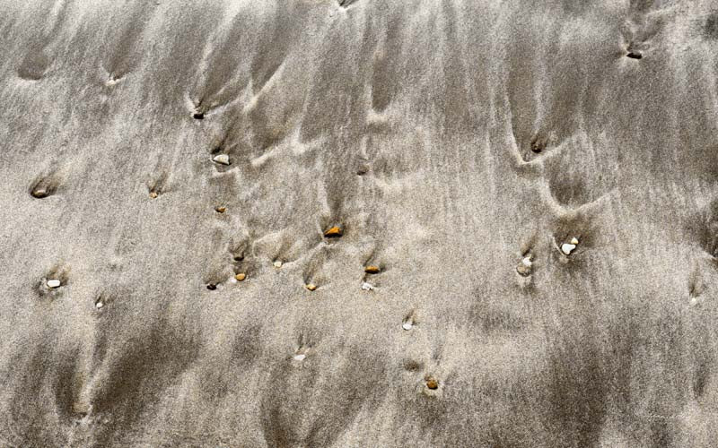Seaside no. 17