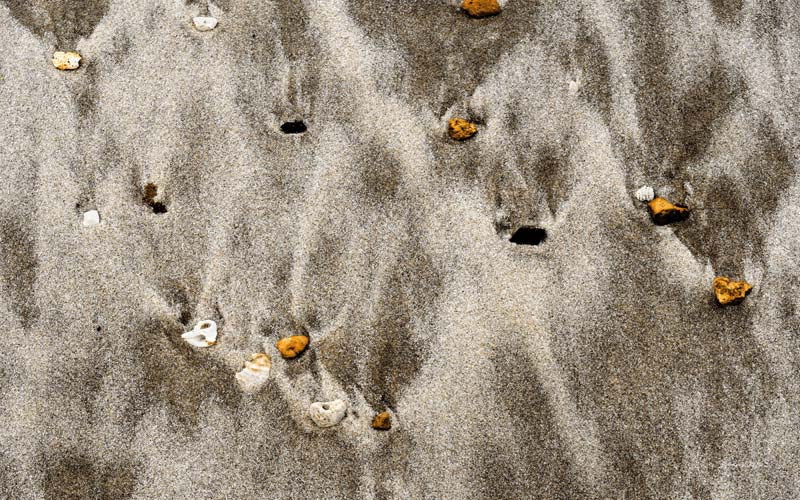 Seaside no. 18