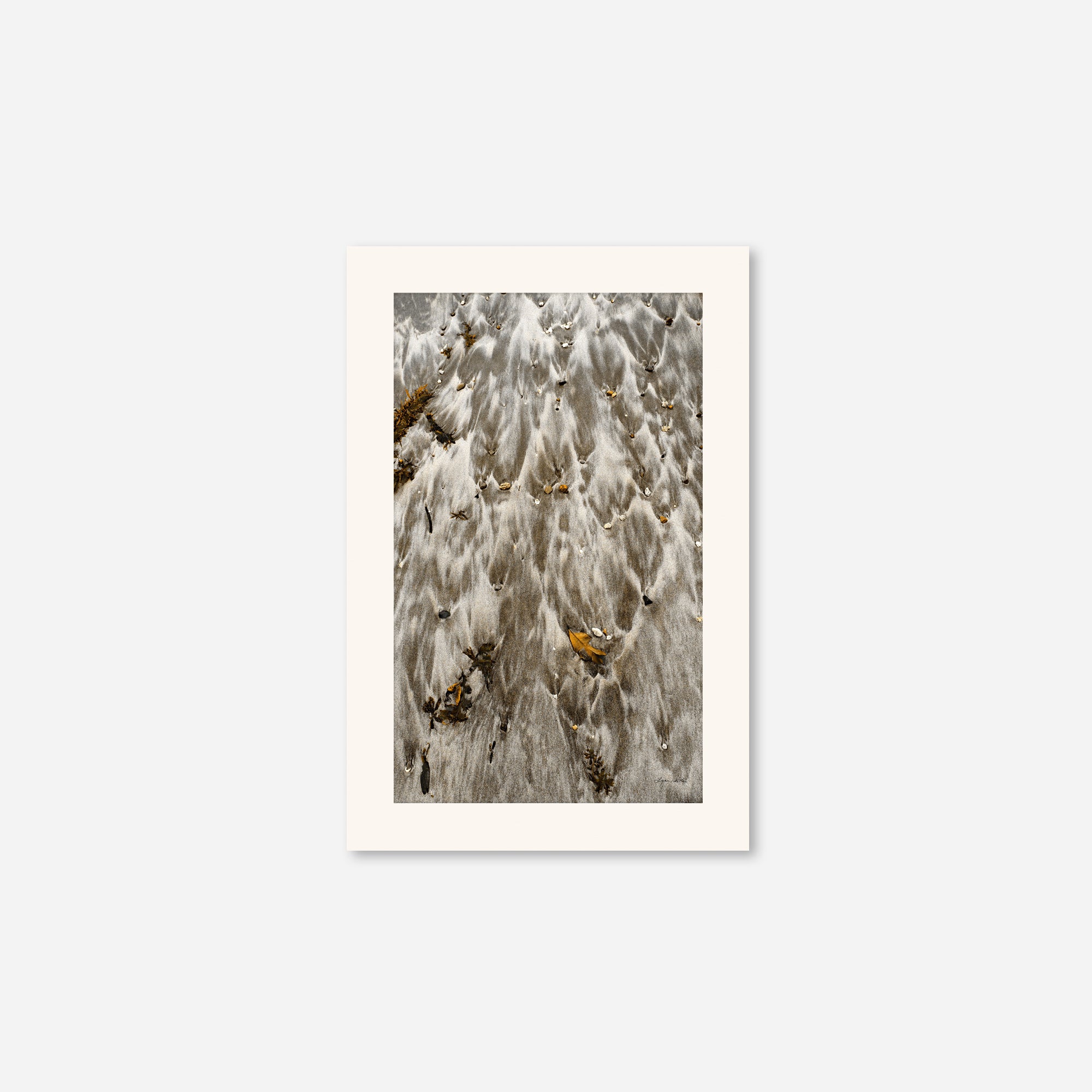 Seaside no. 15
