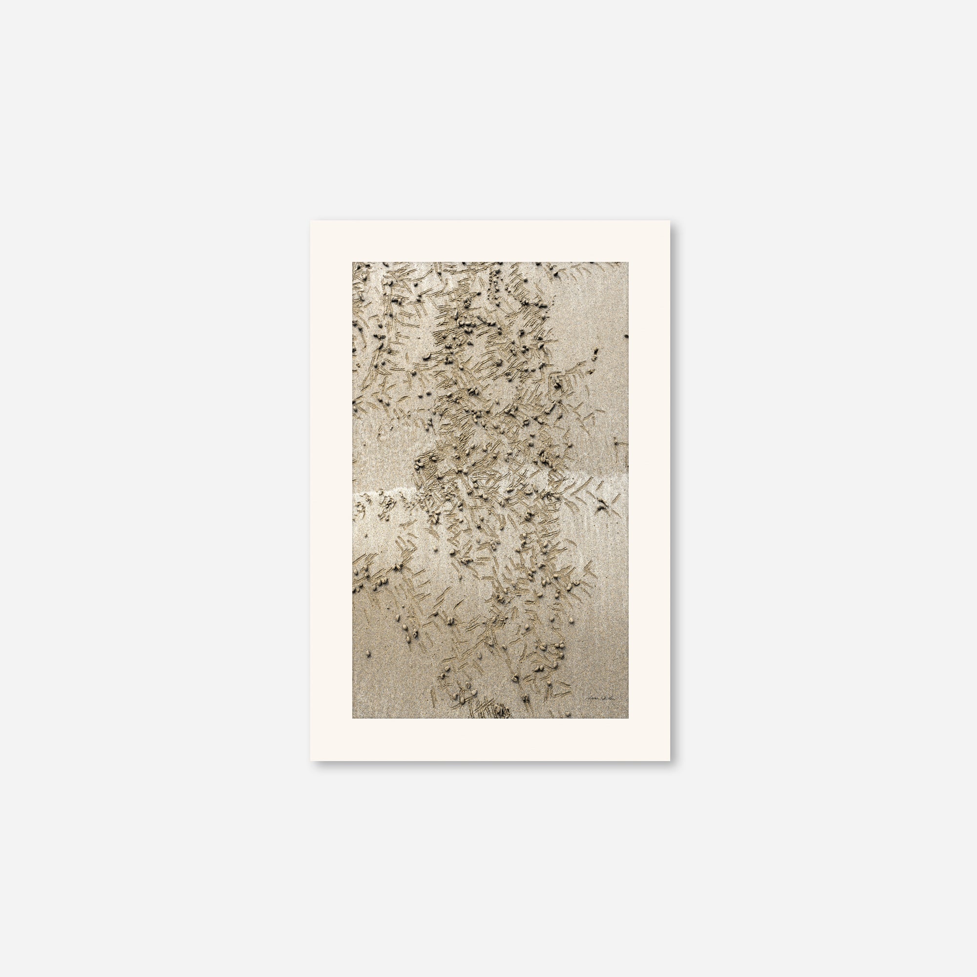 Seaside no. 13
