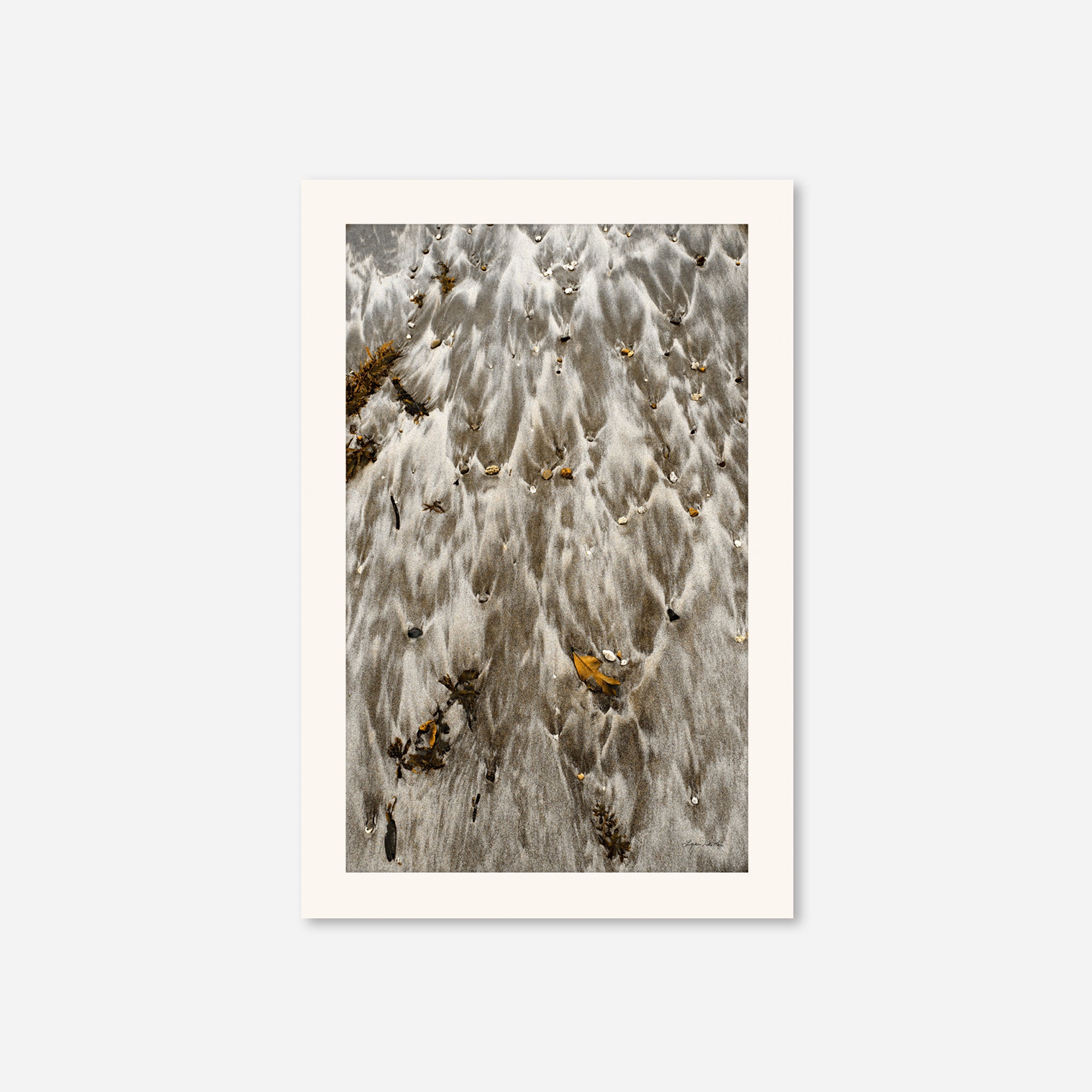Seaside no. 15