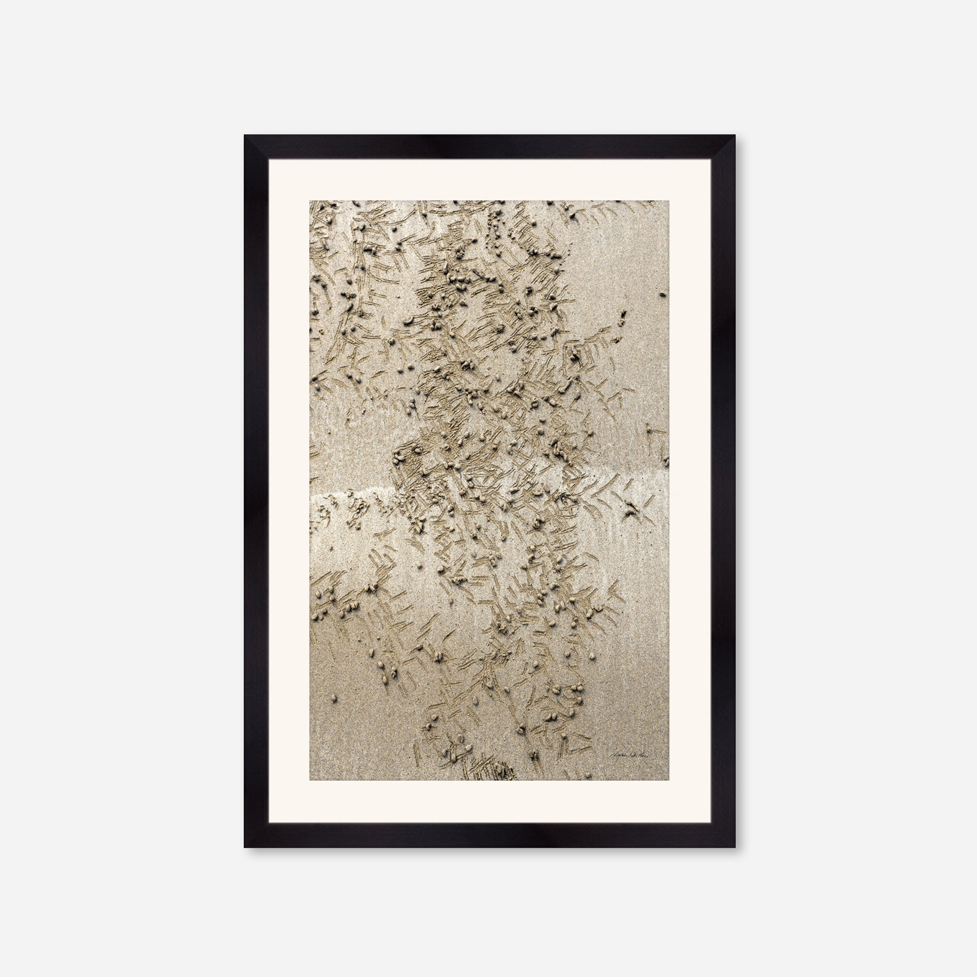 Seaside no. 13