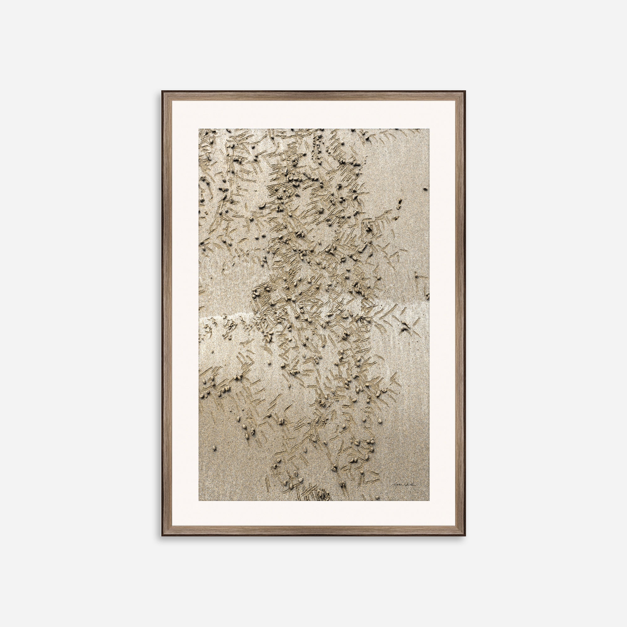Seaside no. 13