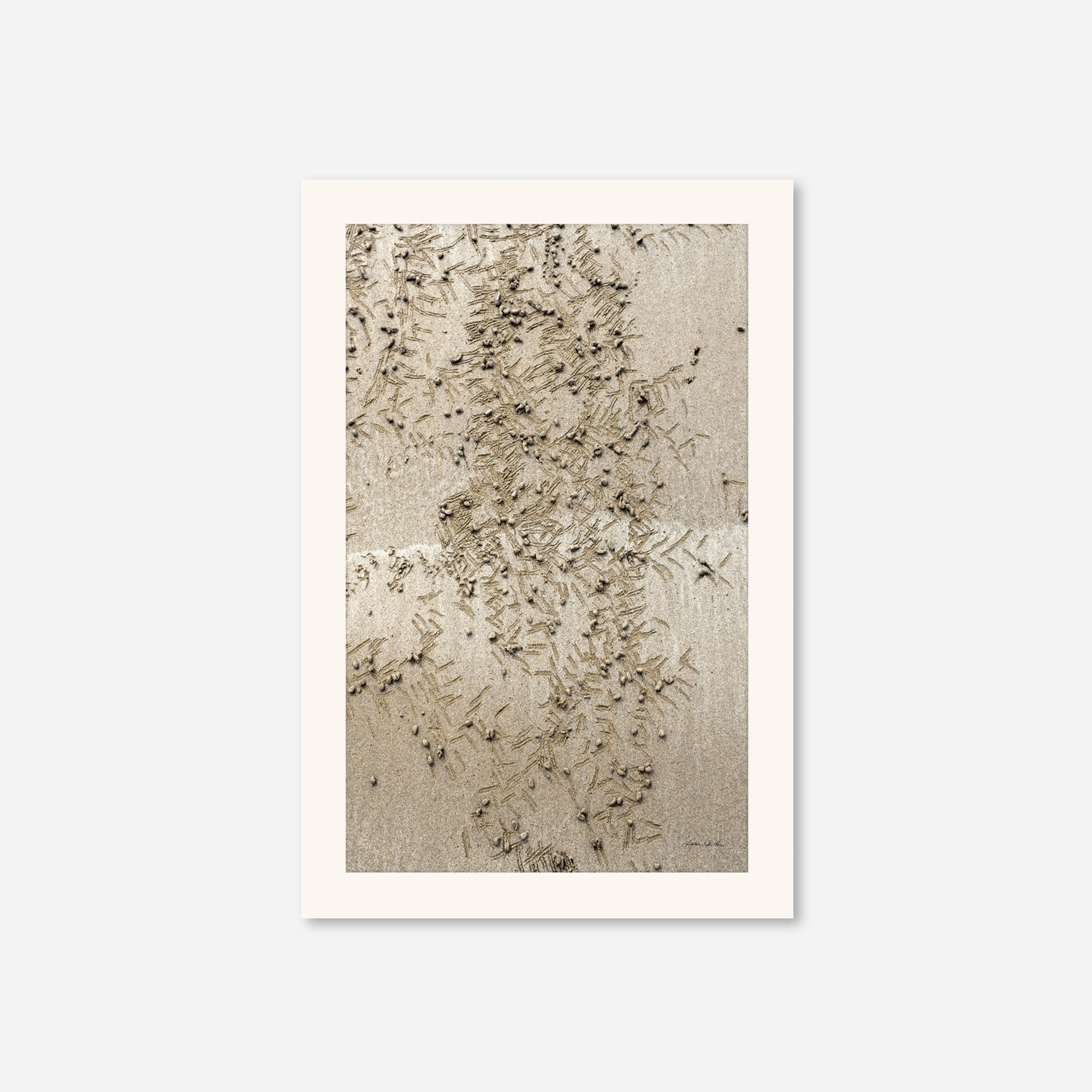 Seaside no. 13