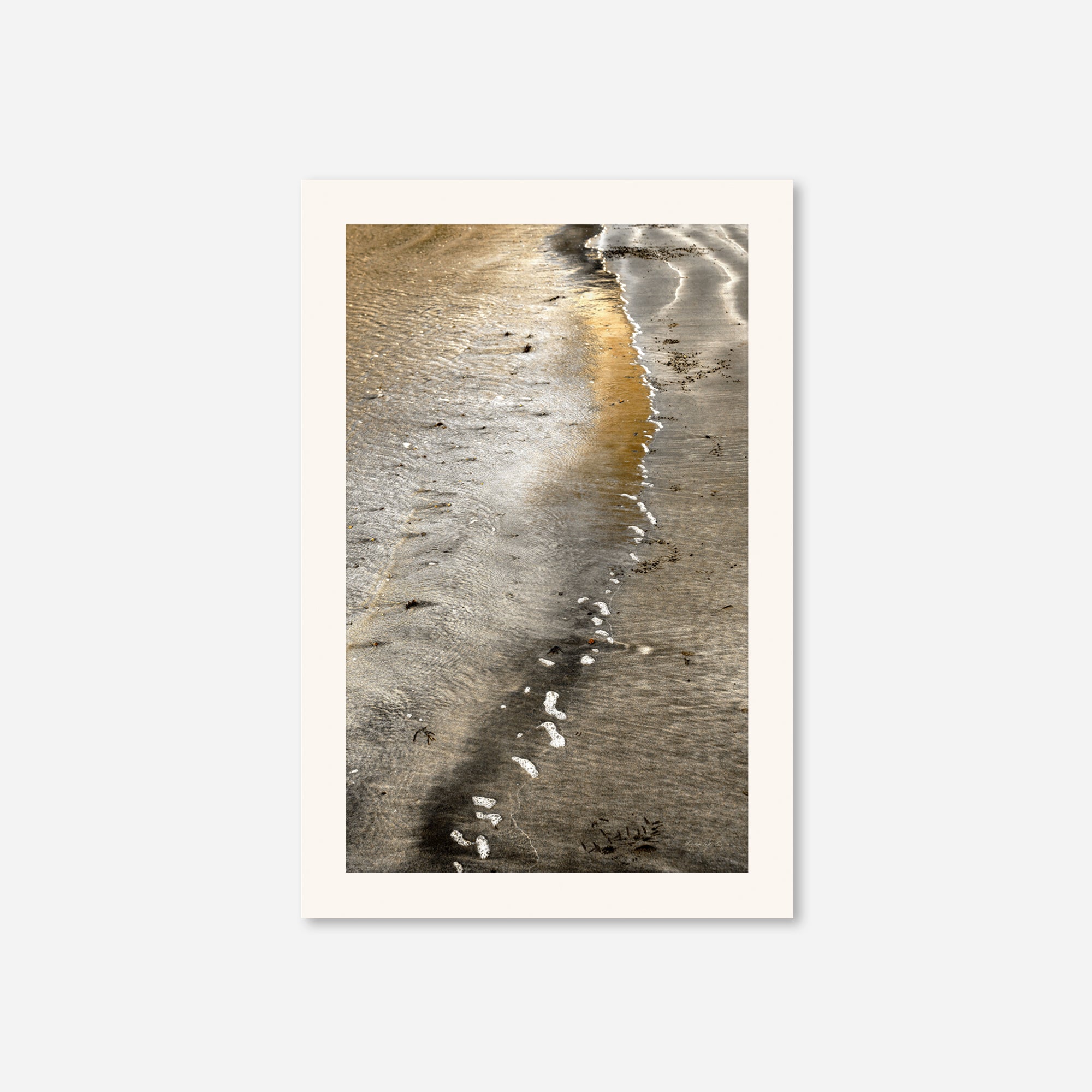 Seaside no. 11
