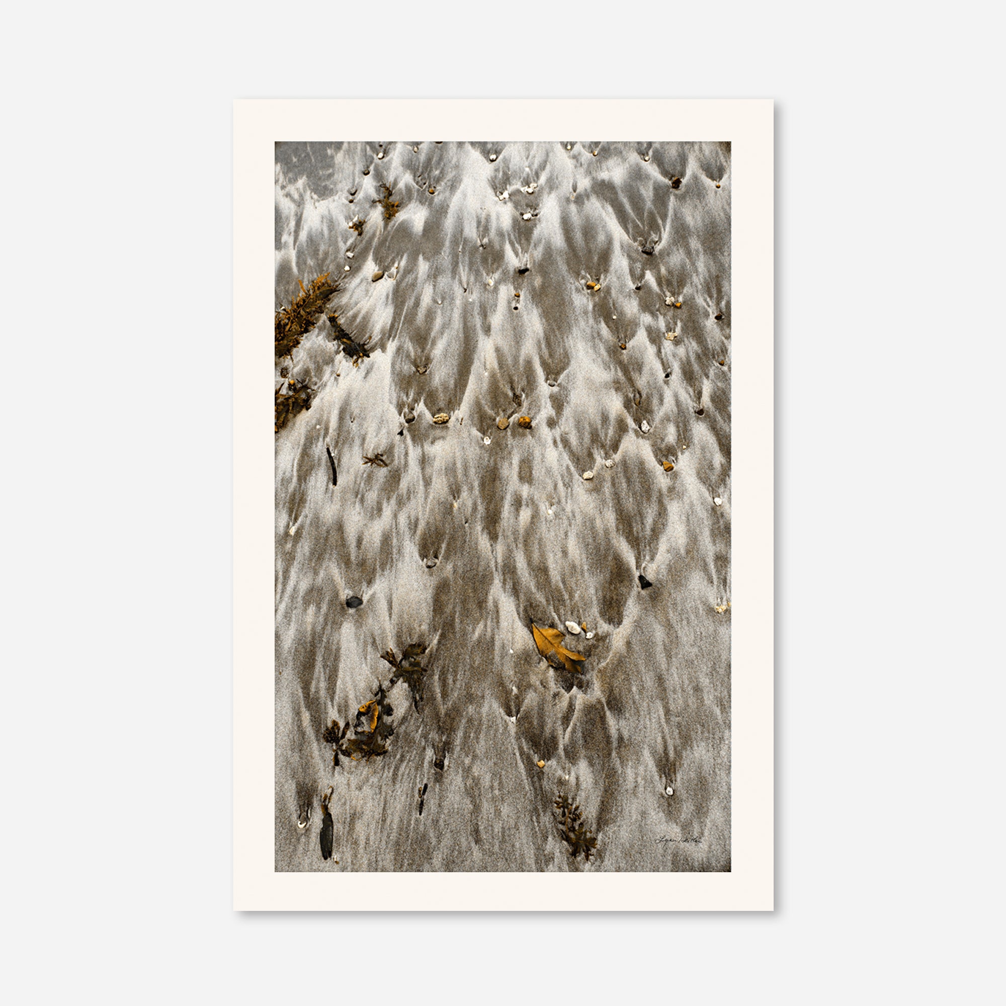 Seaside no. 15