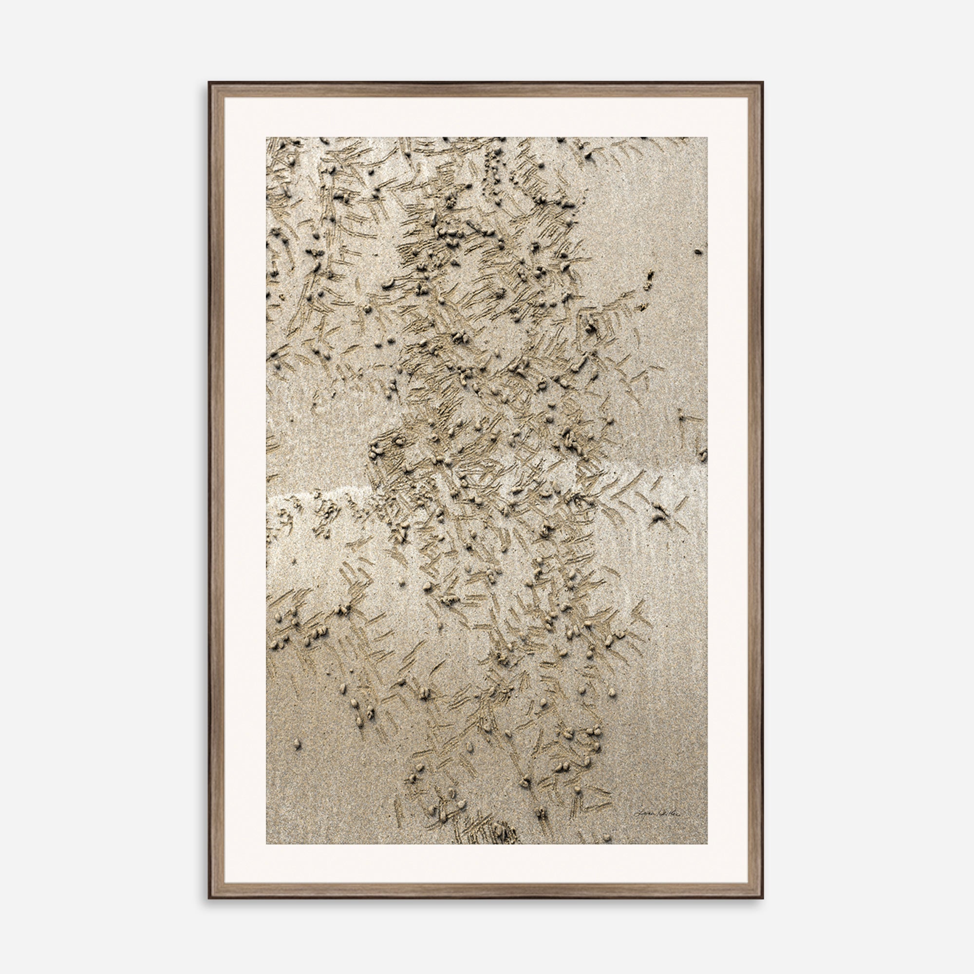 Seaside no. 13