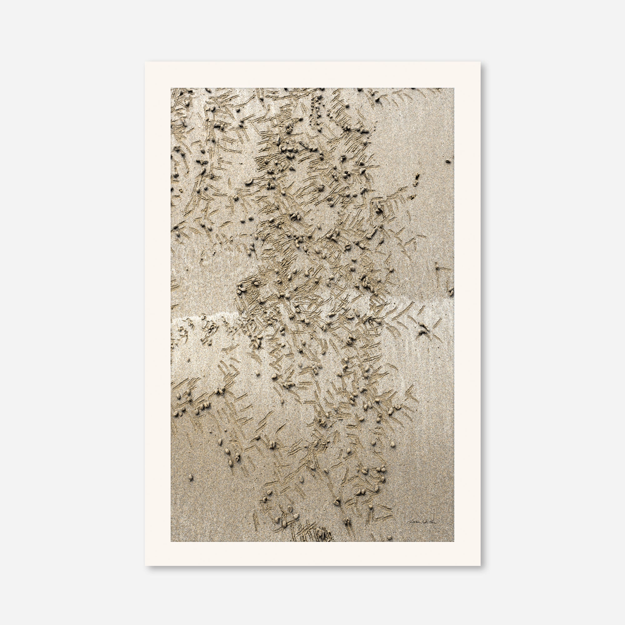 Seaside no. 13