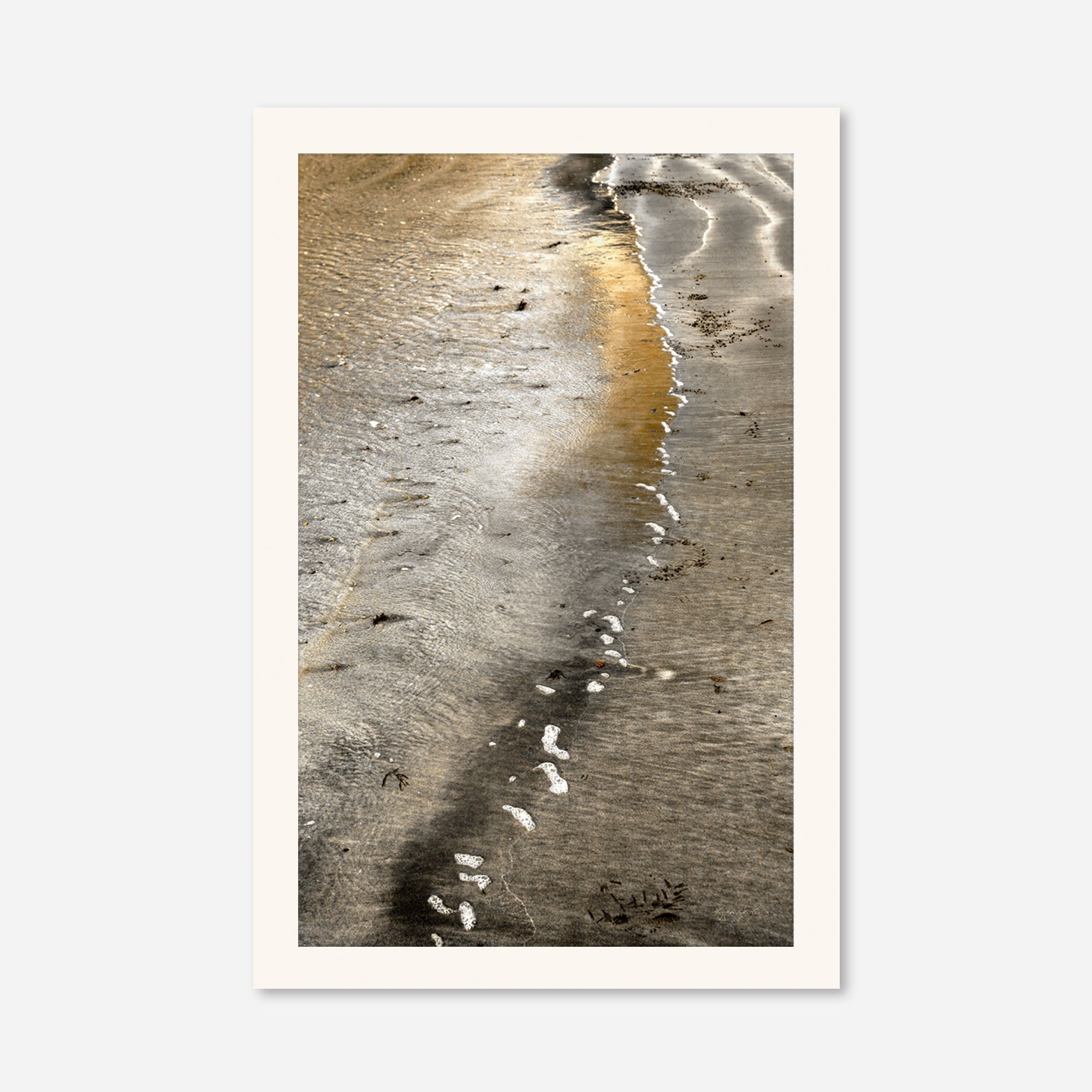 Seaside no. 11