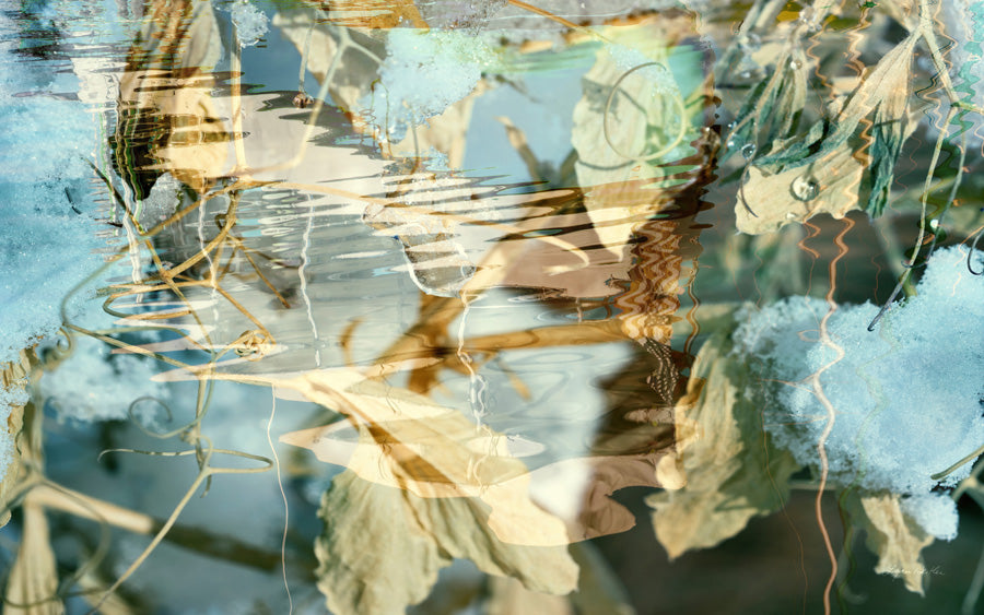 Solstice no.1