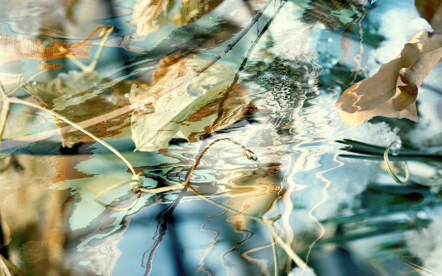 Solstice no.2