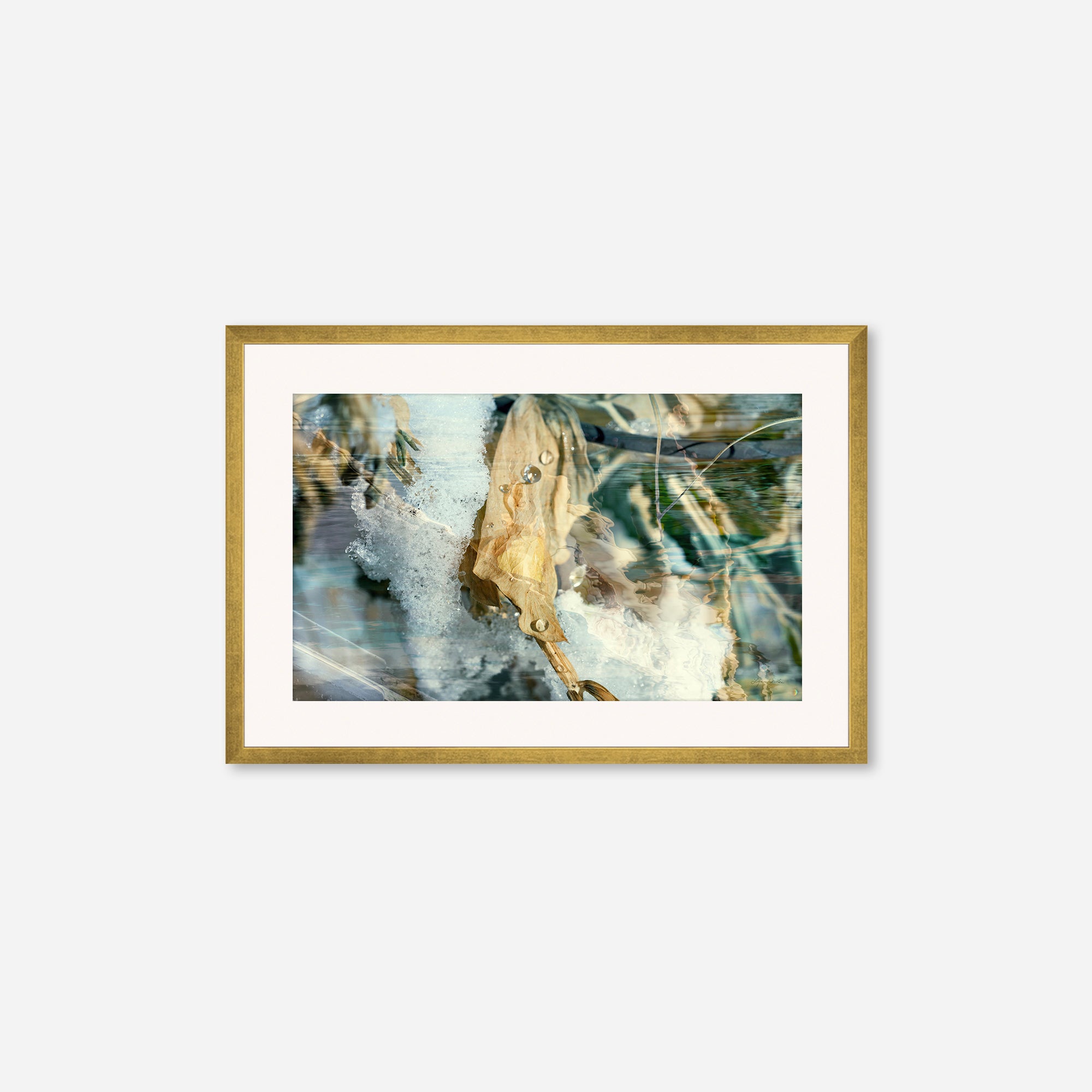 Solstice no.5