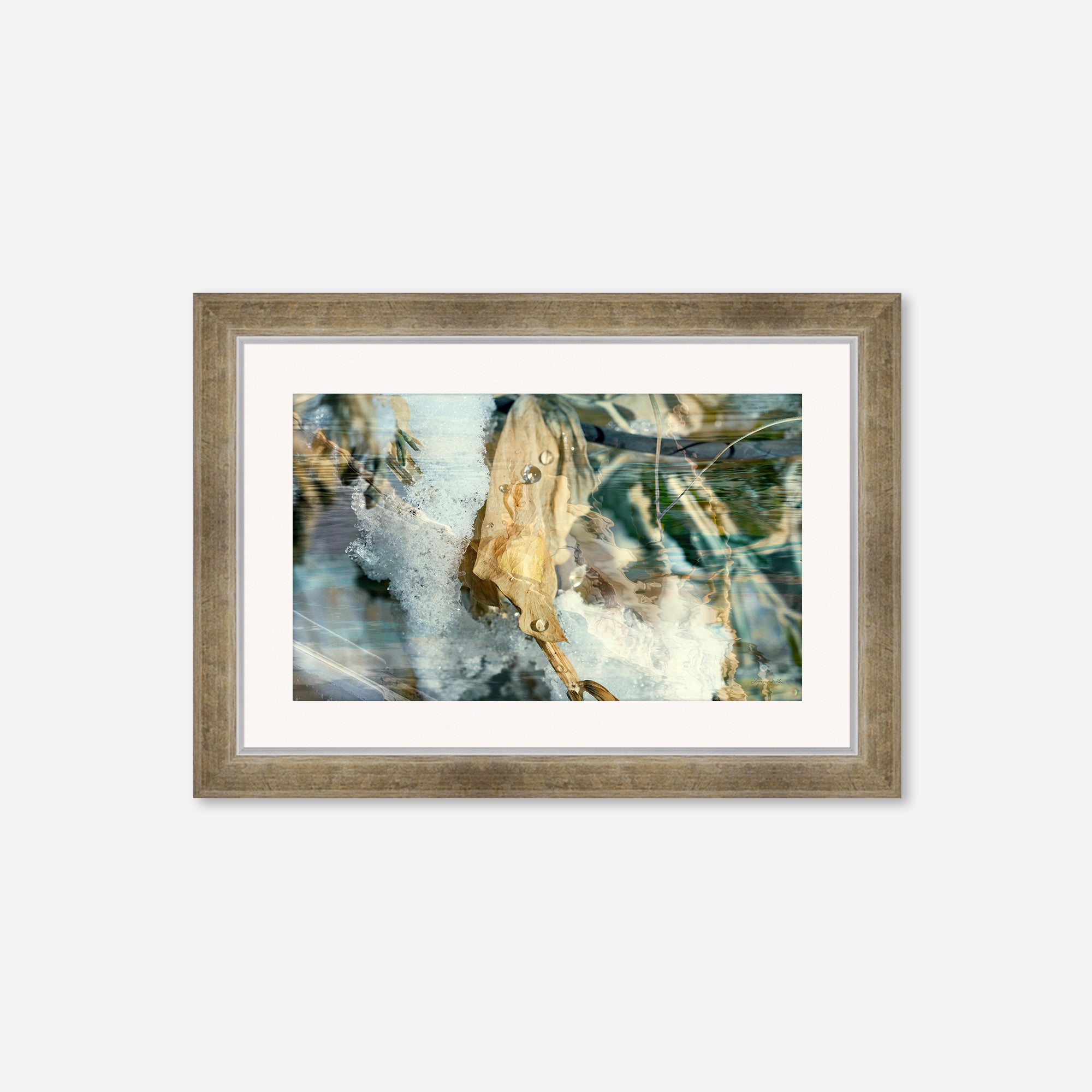 Solstice no.5