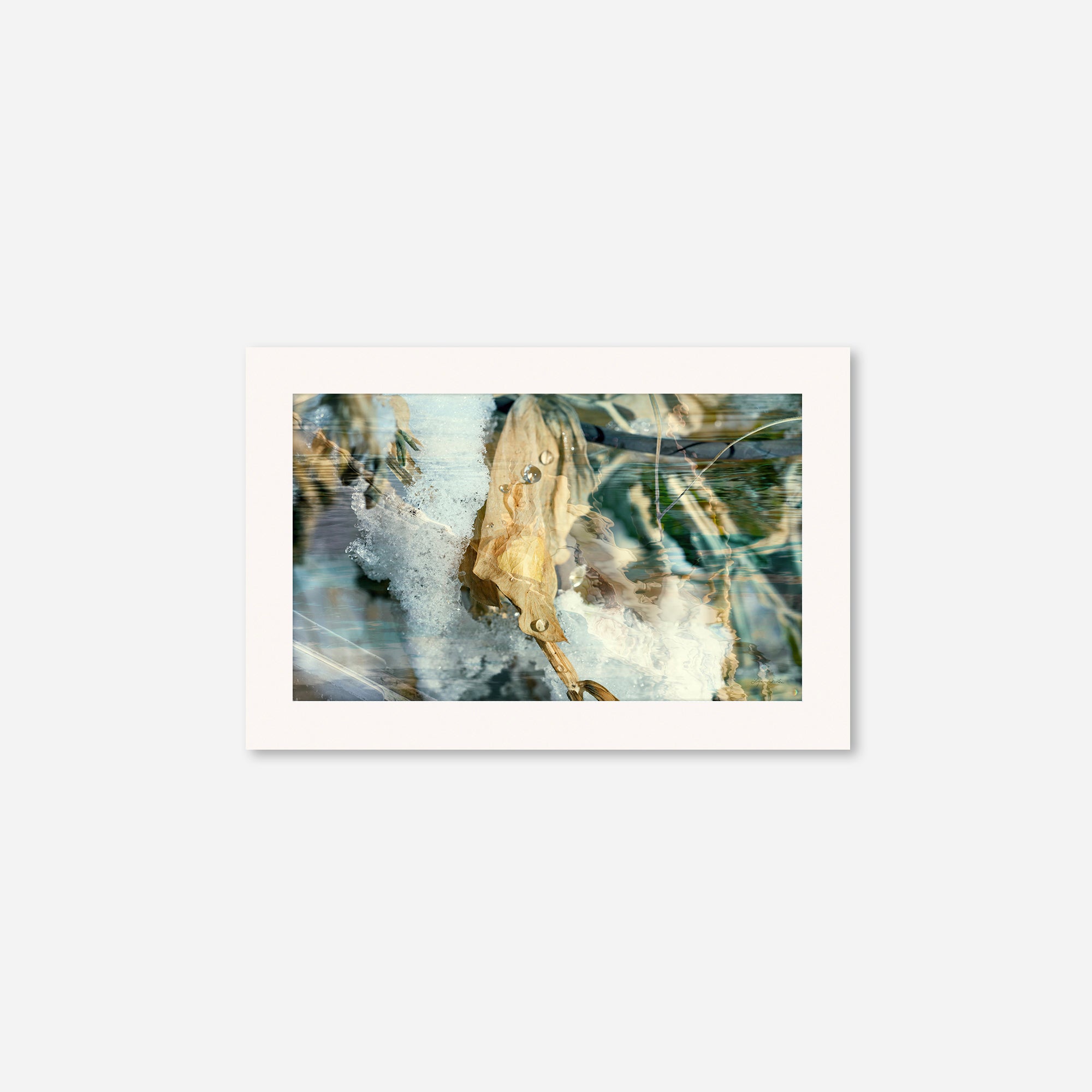 Solstice no.5