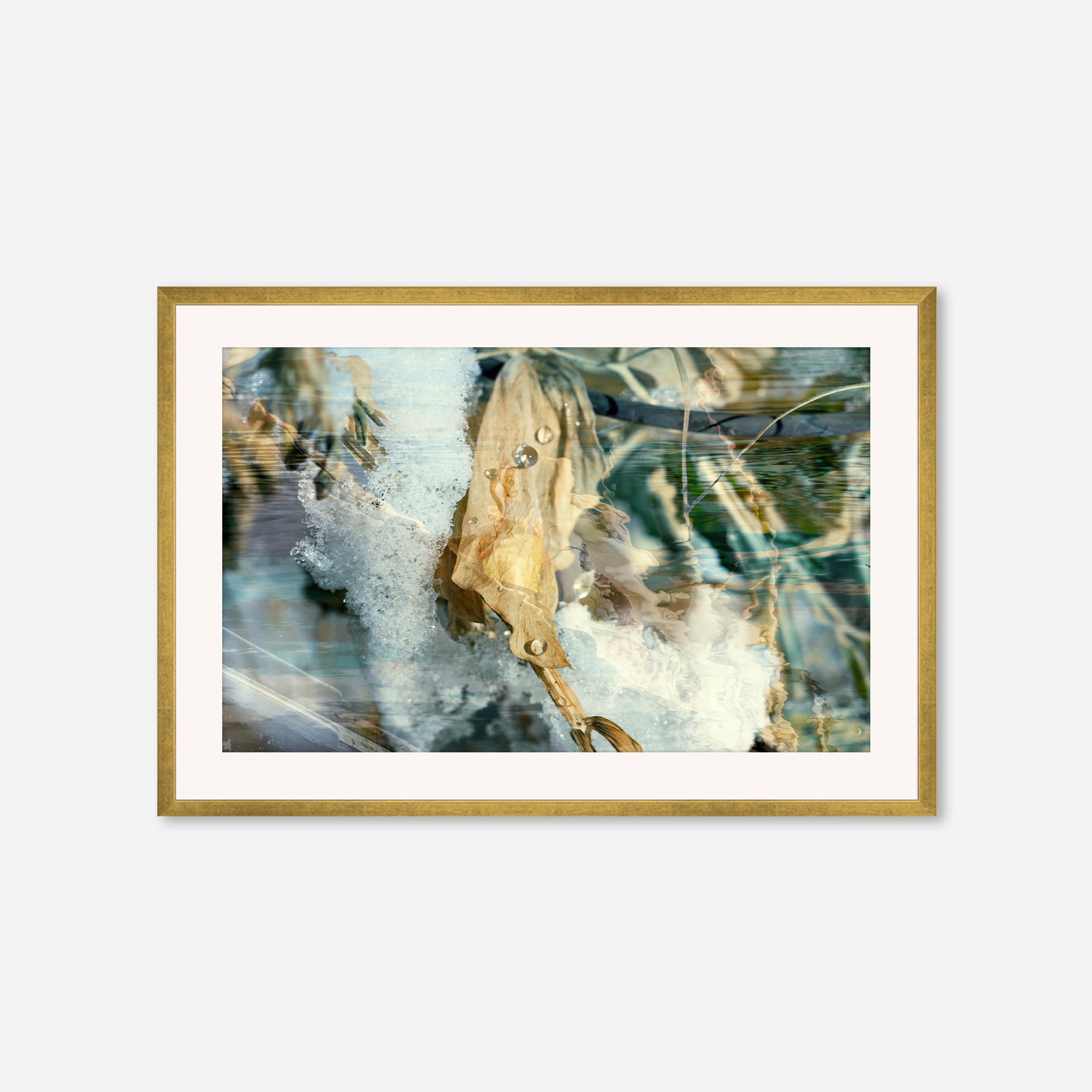 Solstice no.5