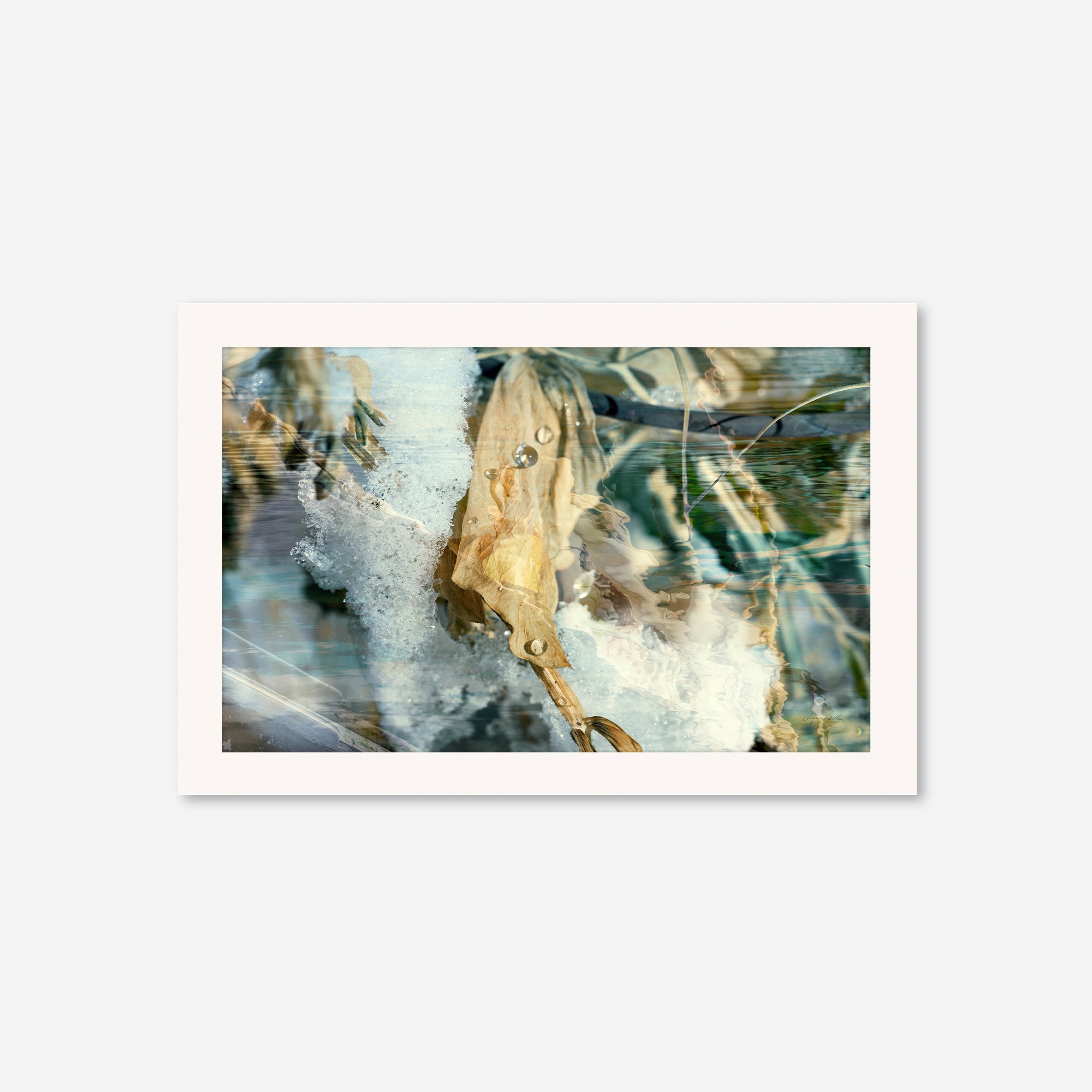 Solstice no.5