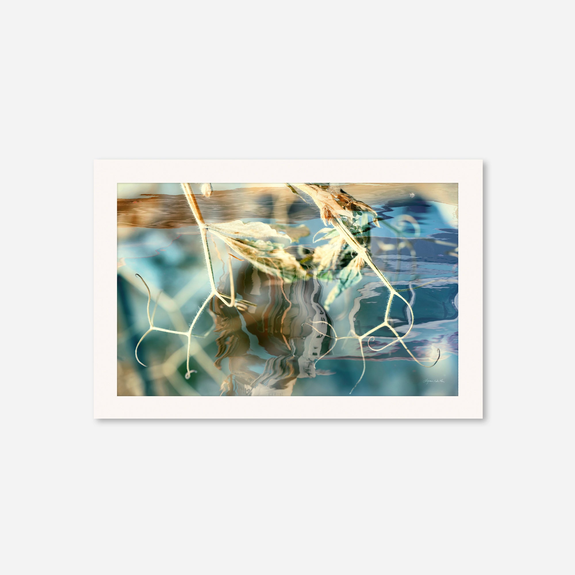 Solstice no.3