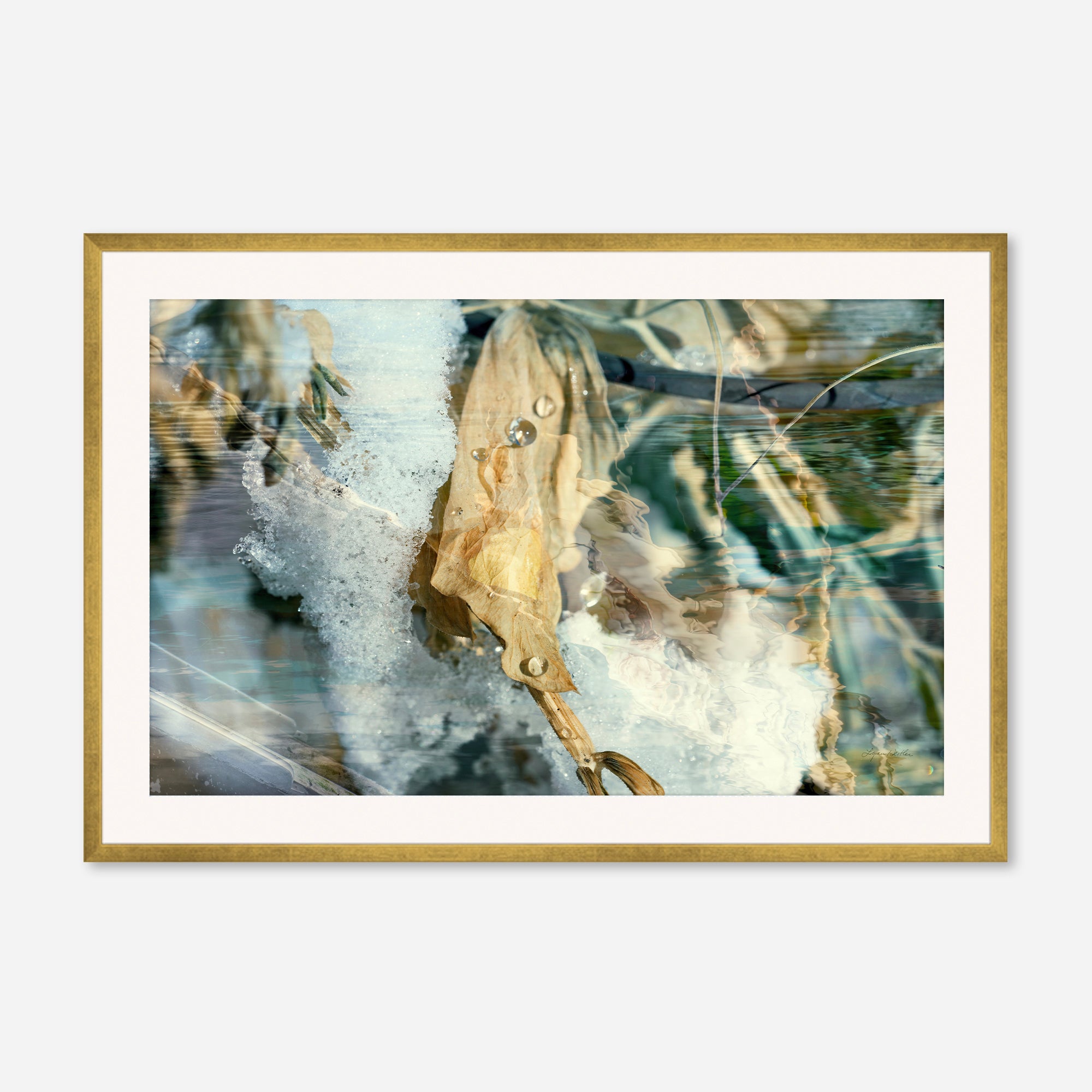 Solstice no.5