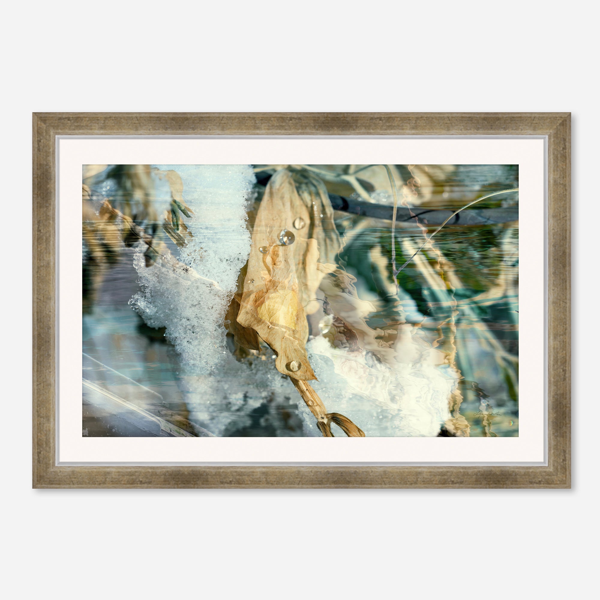 Solstice no.5