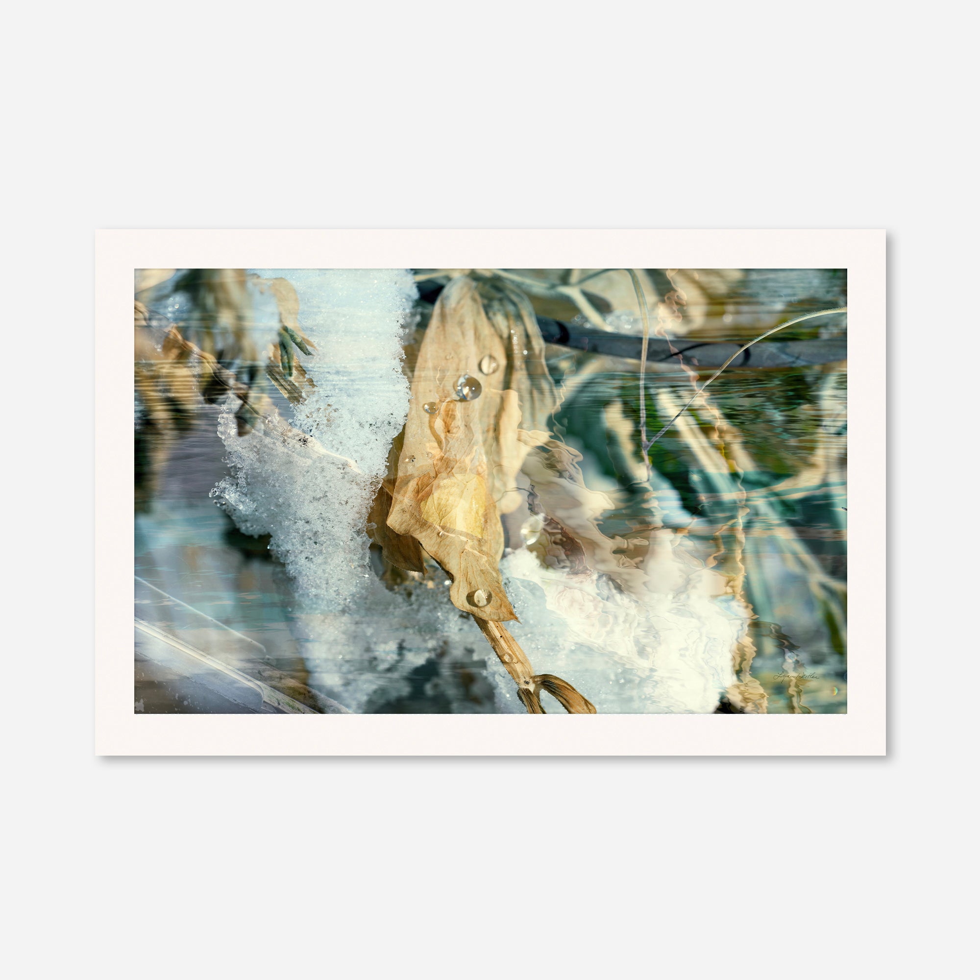 Solstice no.5