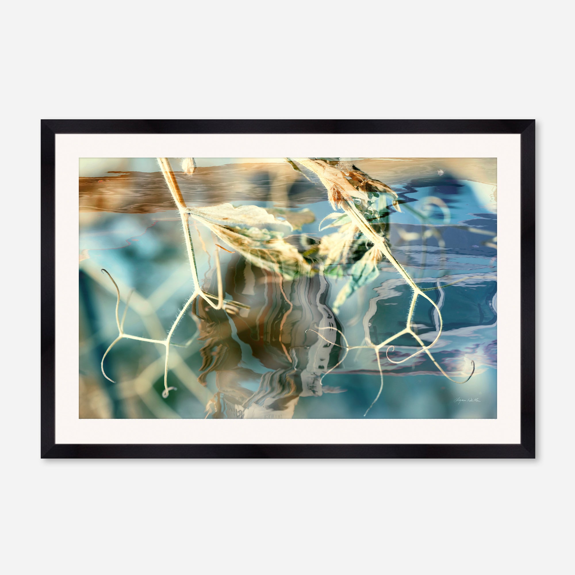 Solstice no.3