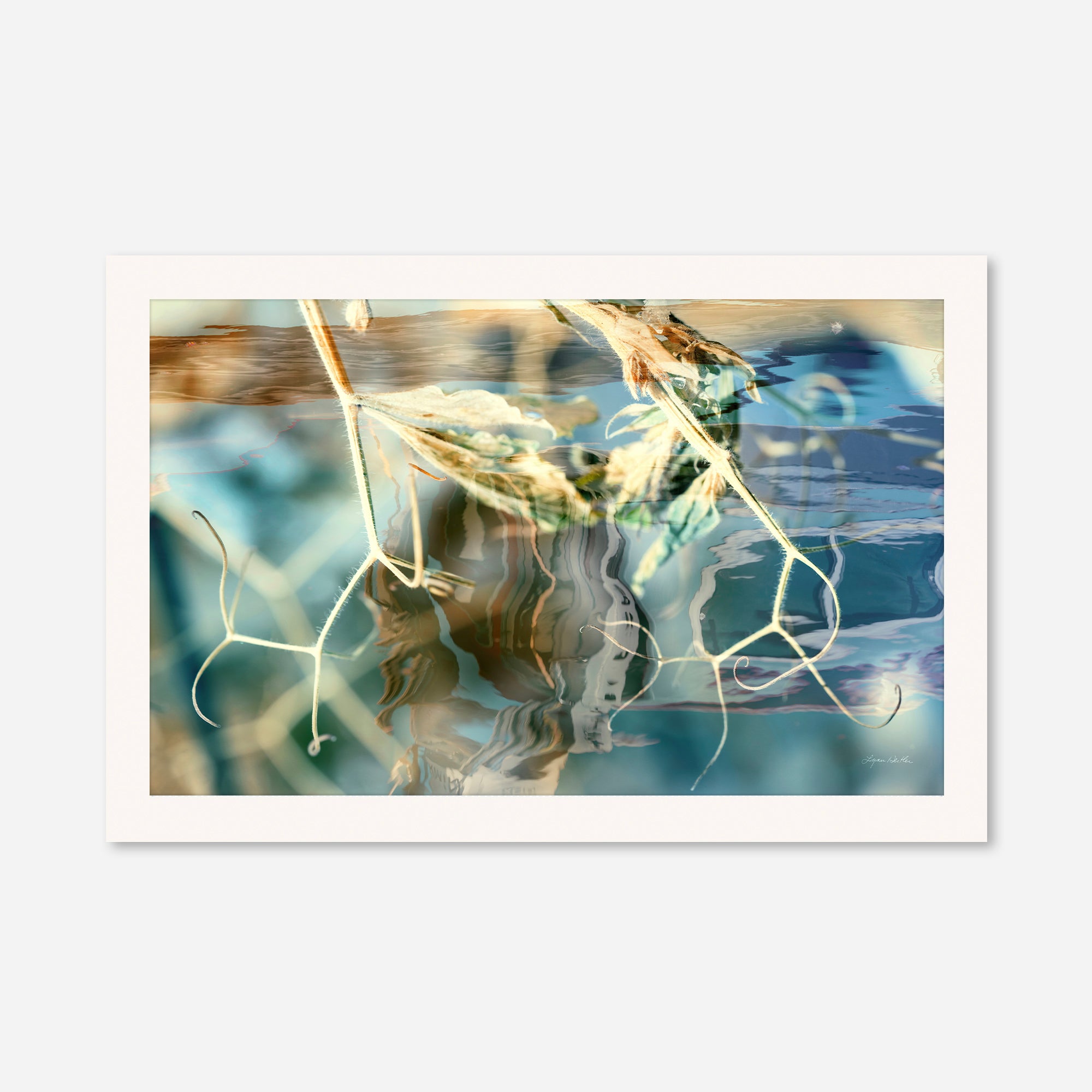 Solstice no.3