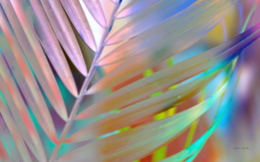 Sunrise no.3