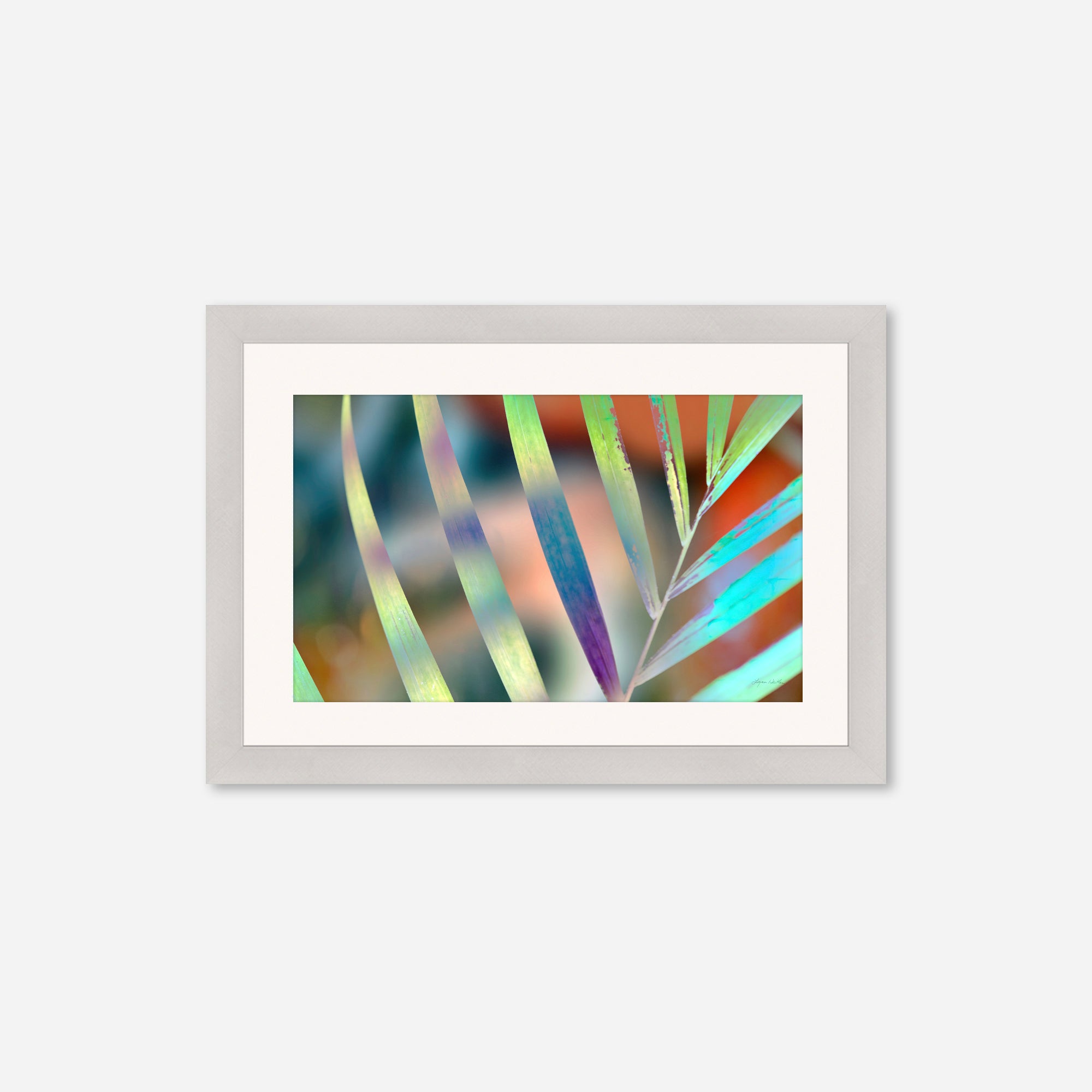 Sunrise no.6