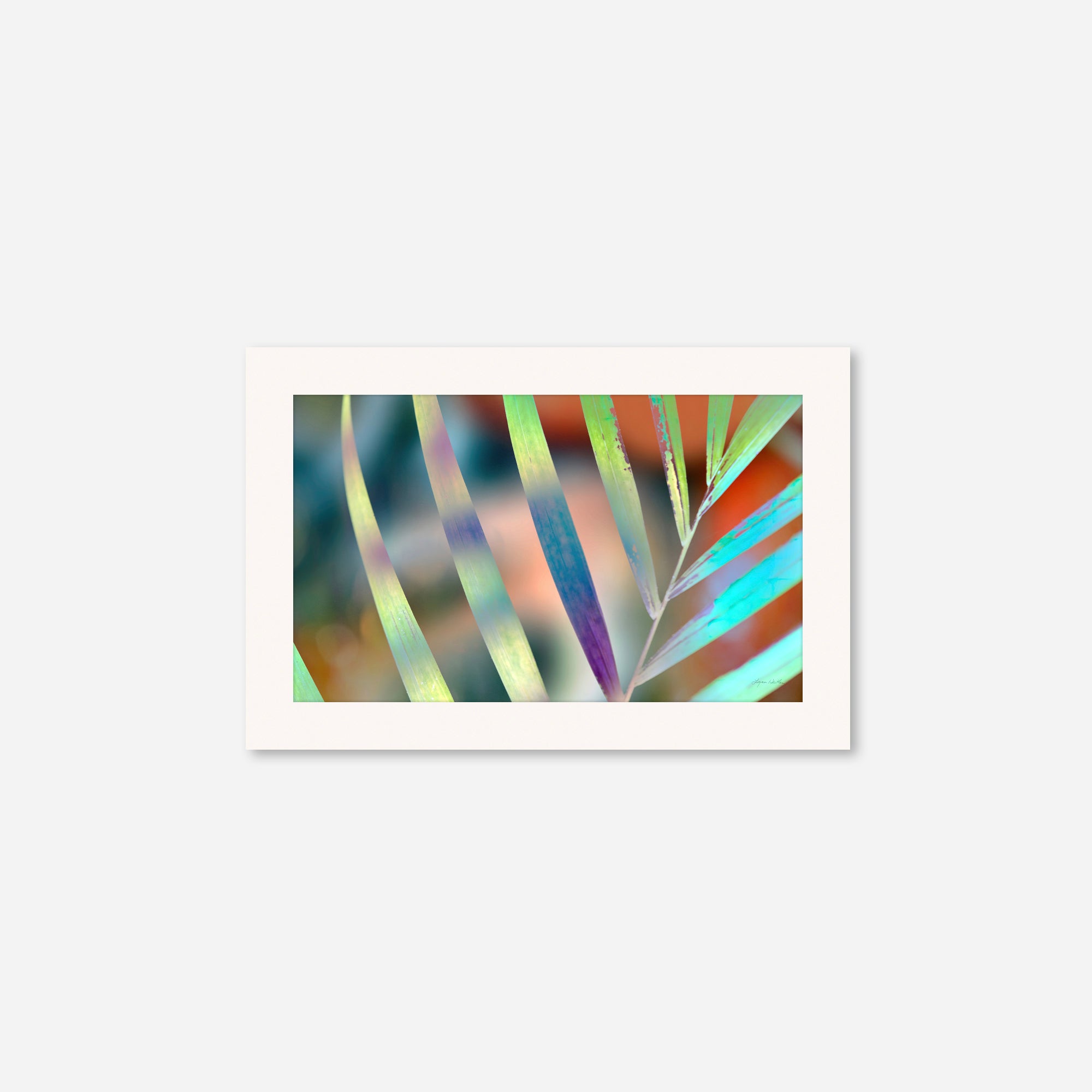 Sunrise no.6