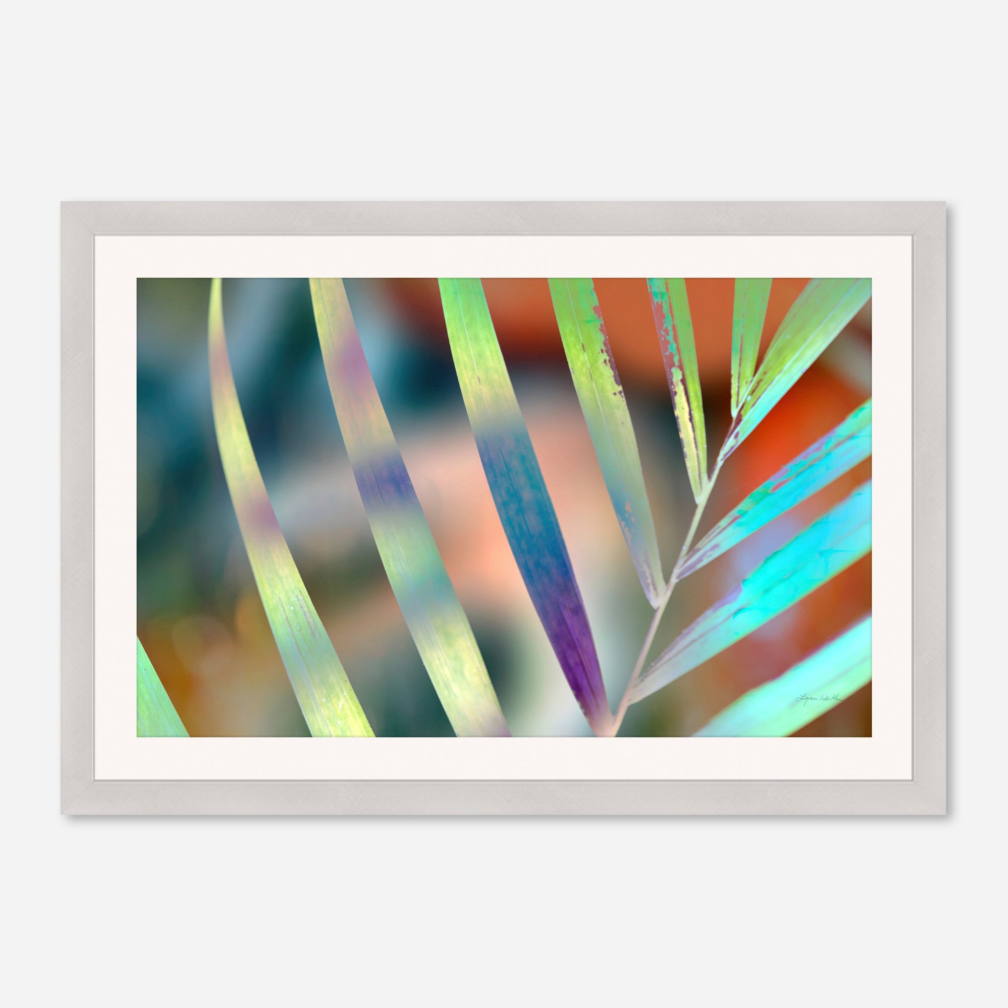 Sunrise no.6