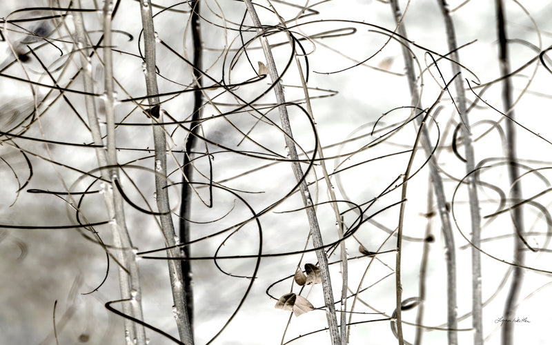 Twigs no. 1