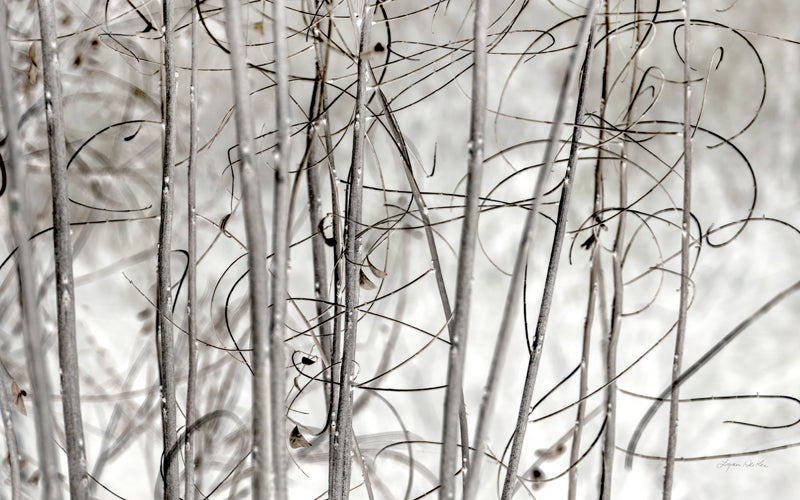 Twigs no. 3