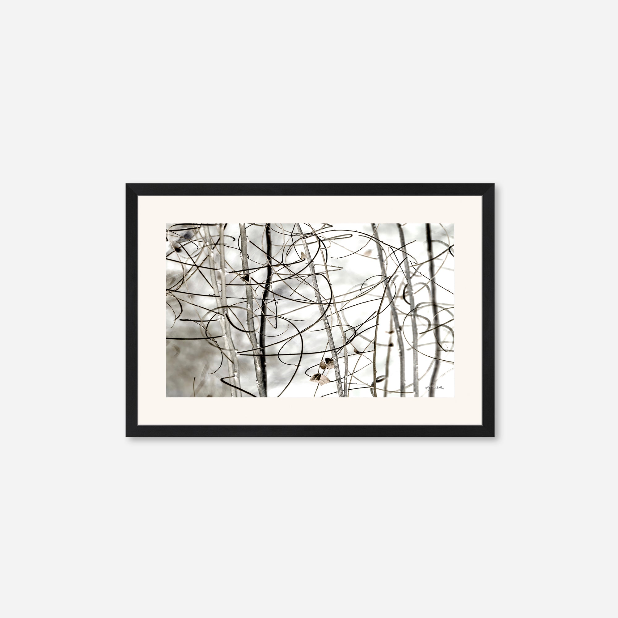 Twigs no. 1