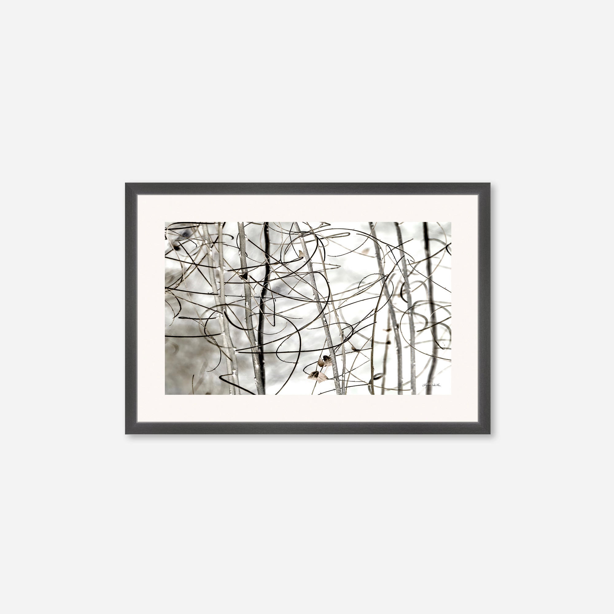 Twigs no. 1