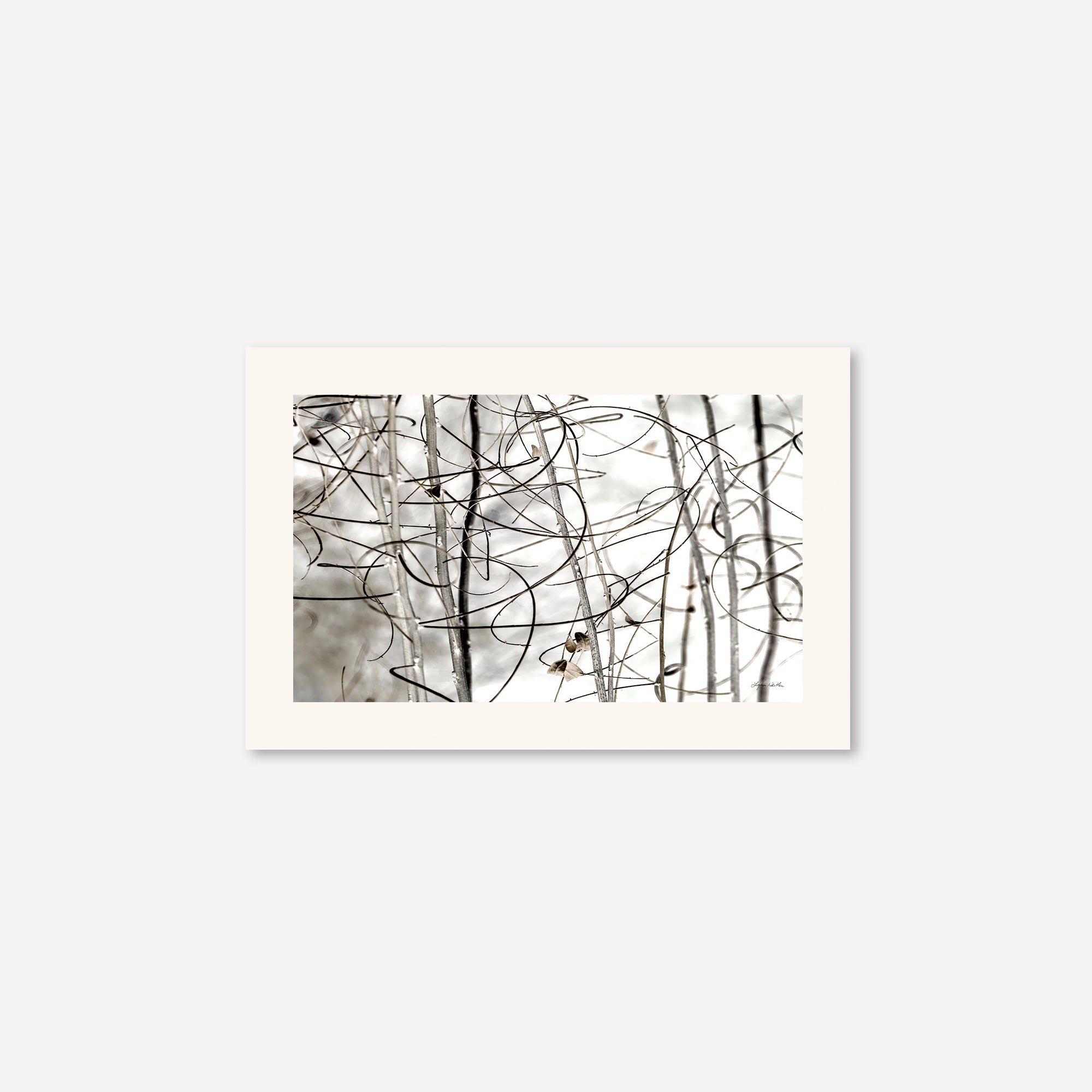 Twigs no. 1