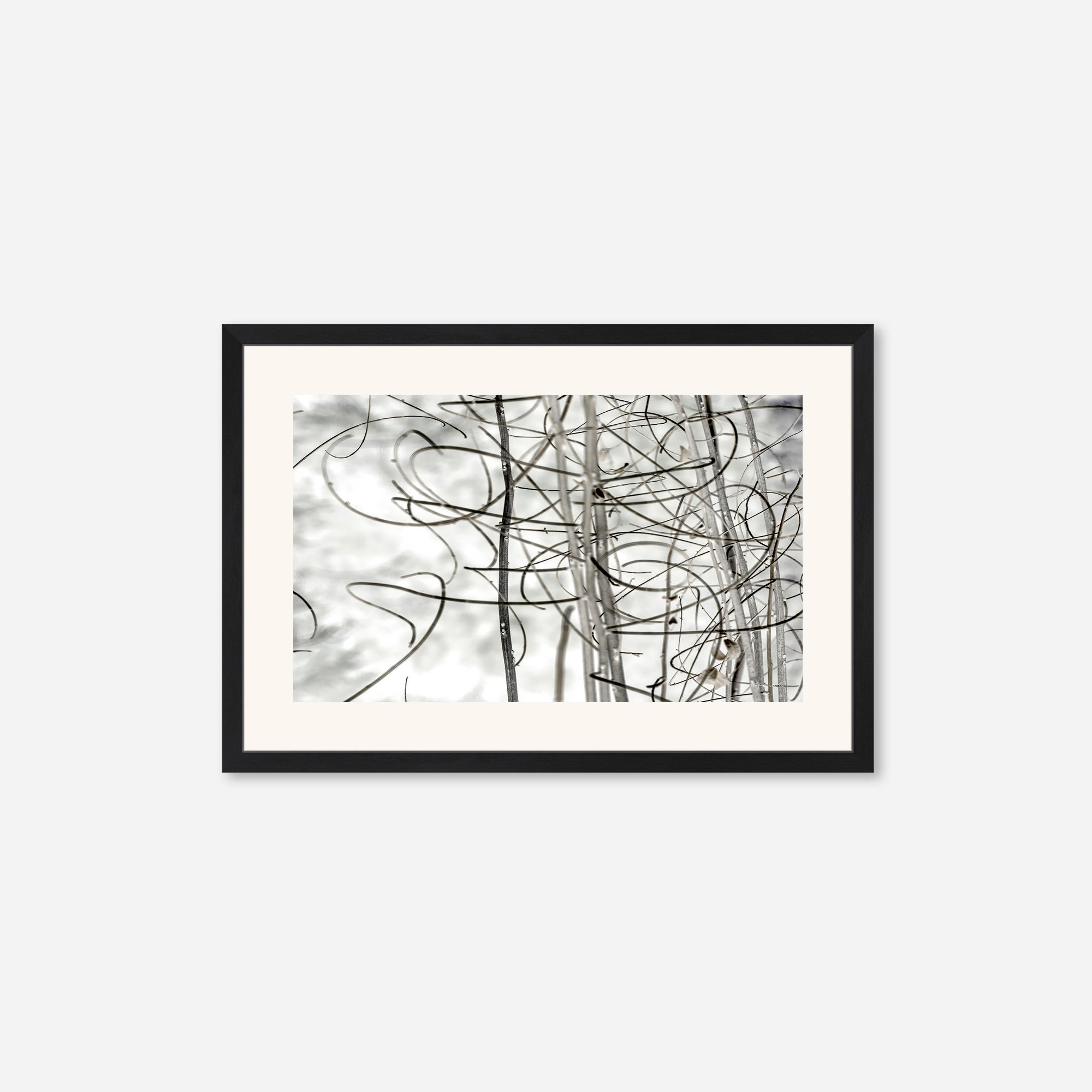 Twigs no. 2