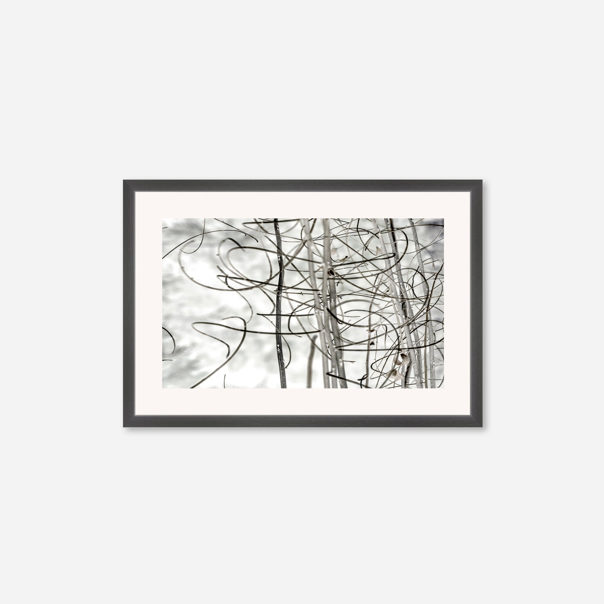 Twigs no. 2