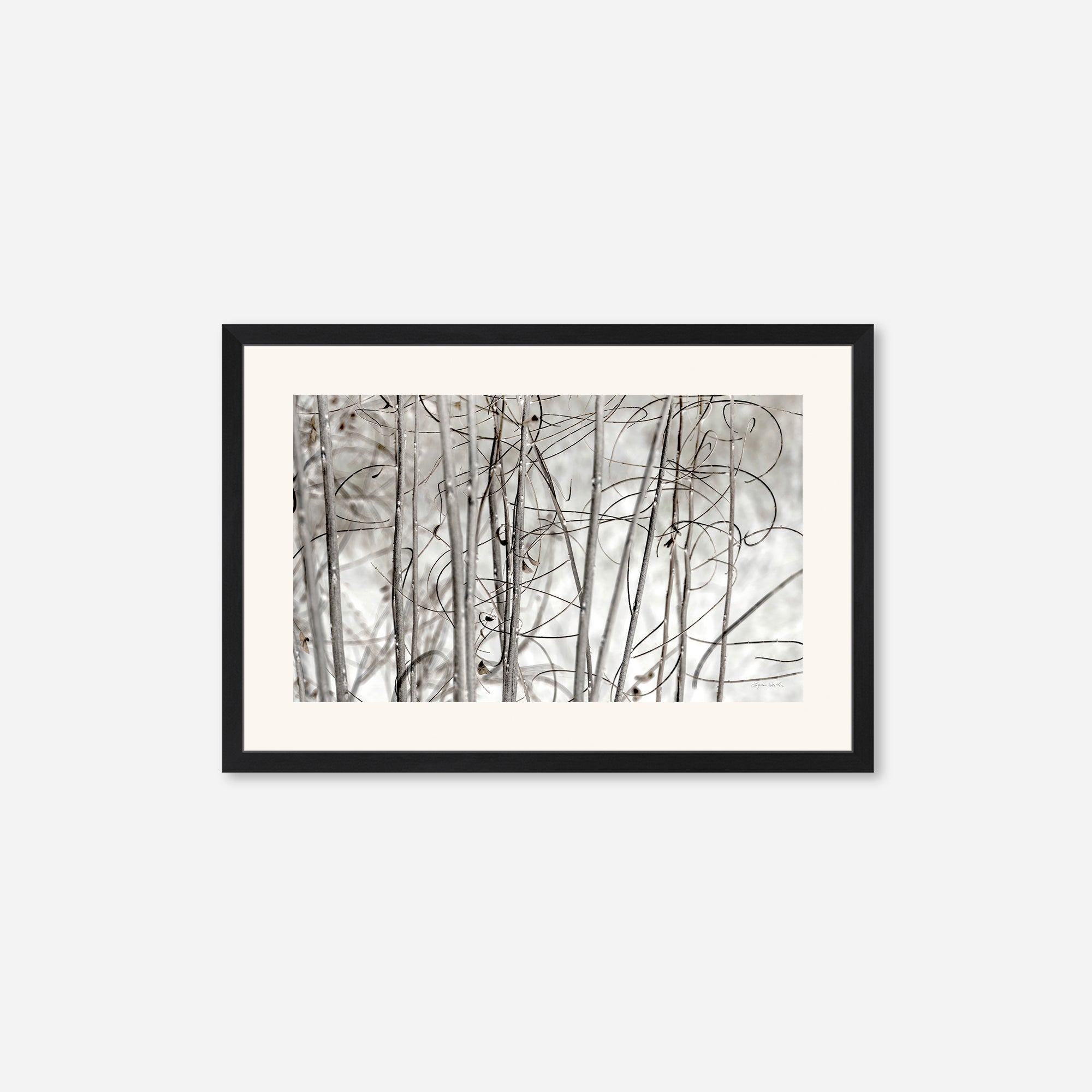 Twigs no. 3