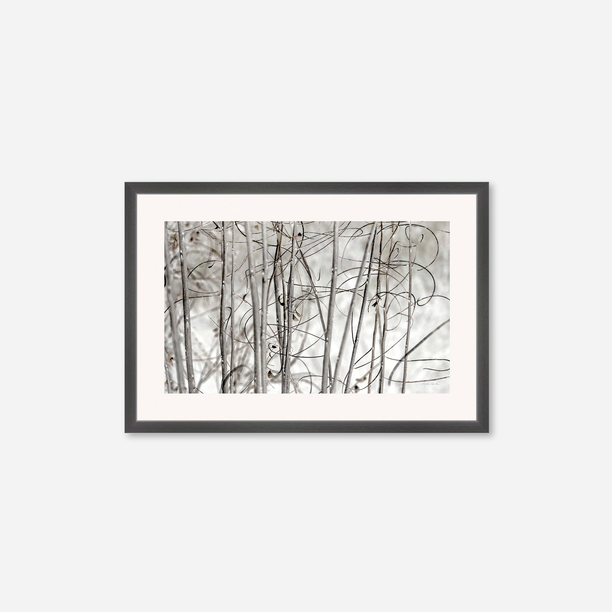 Twigs no. 3