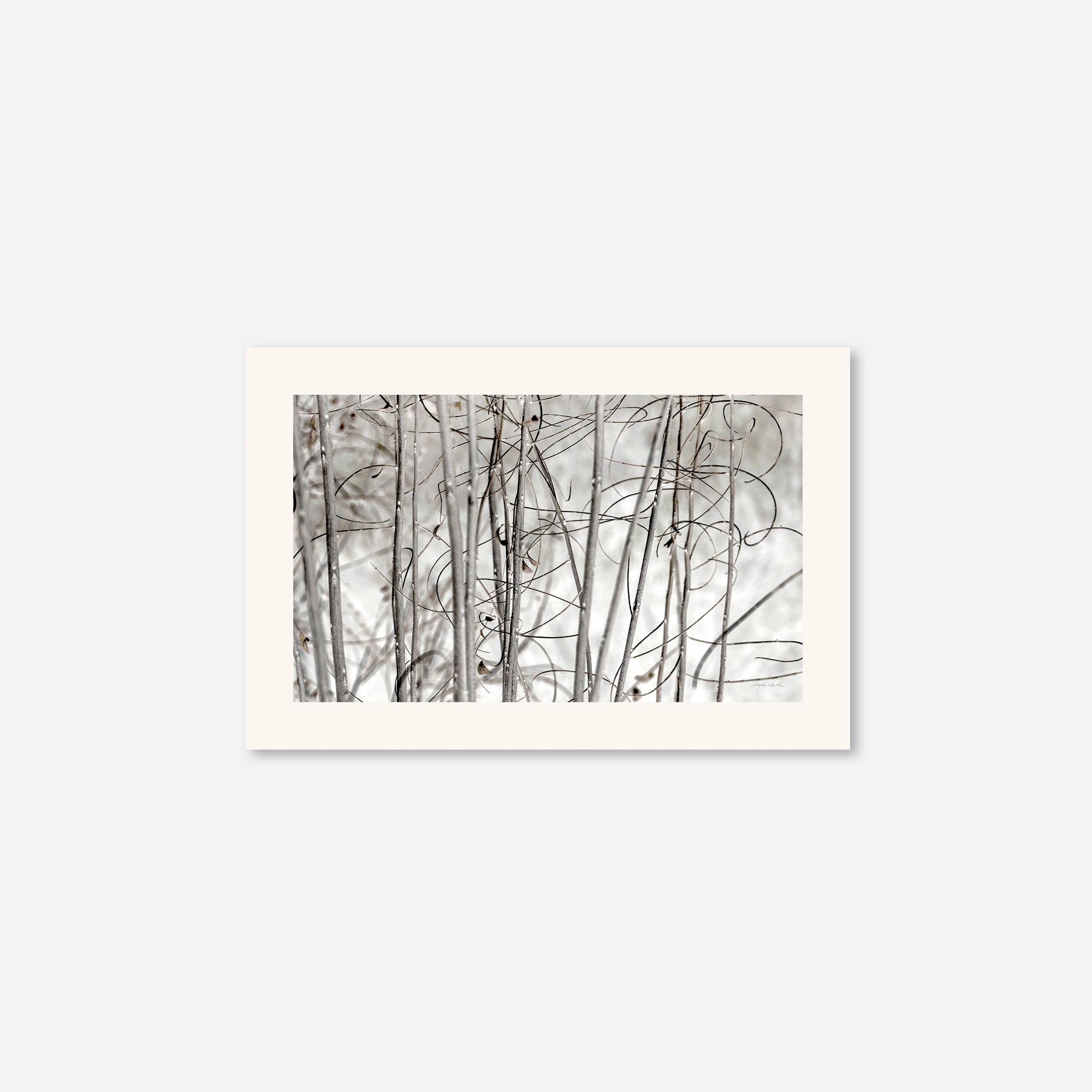 Twigs no. 3