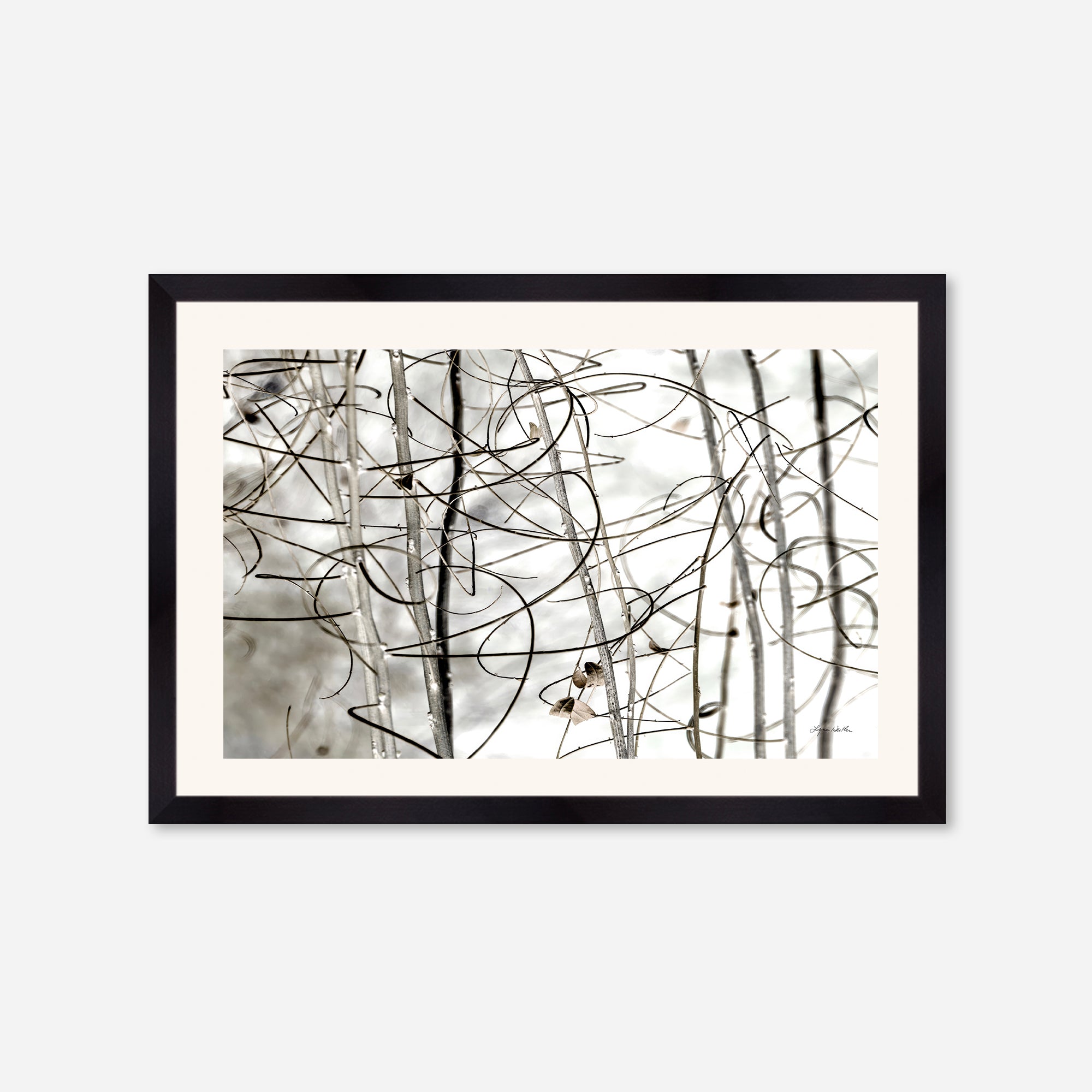 Twigs no. 1