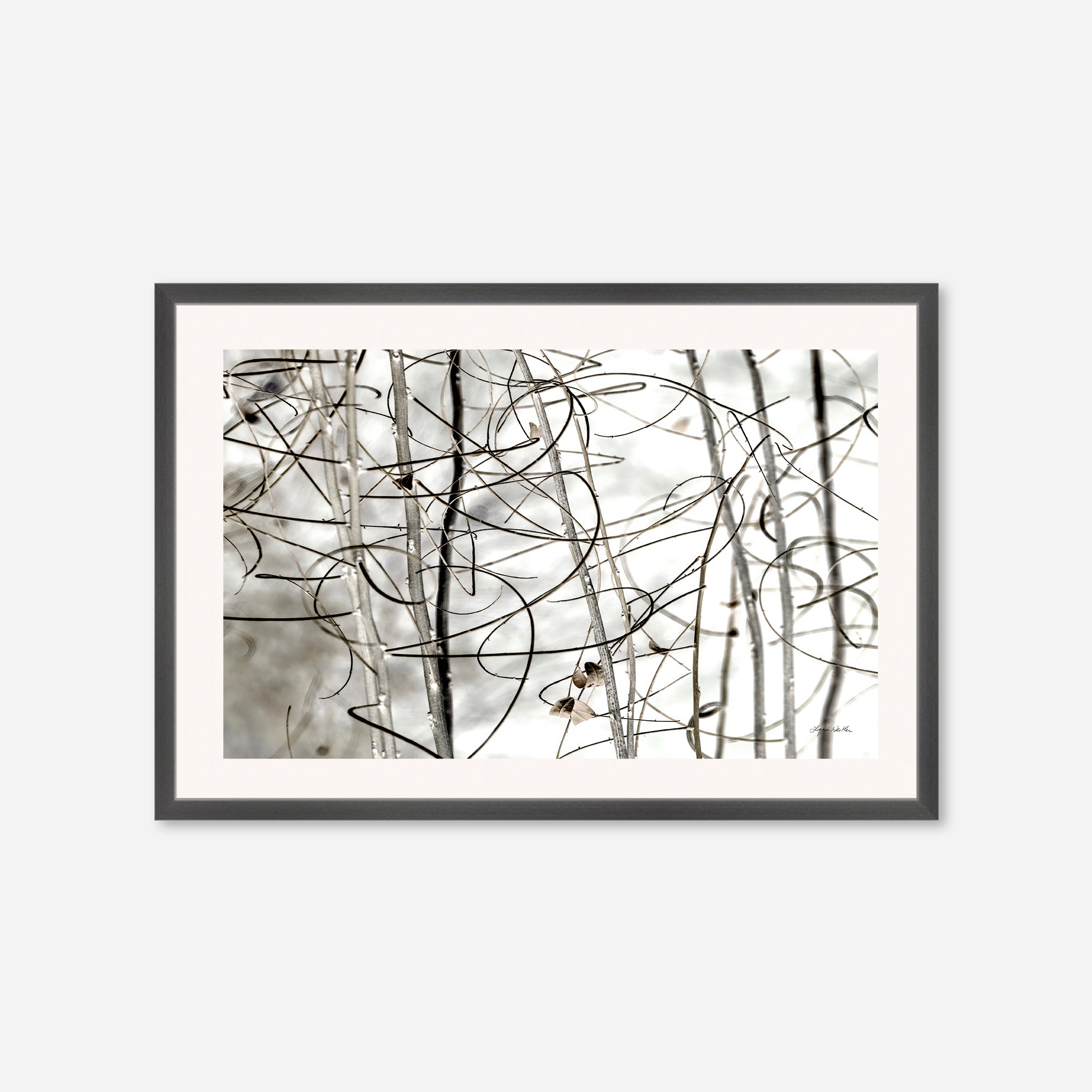 Twigs no. 1