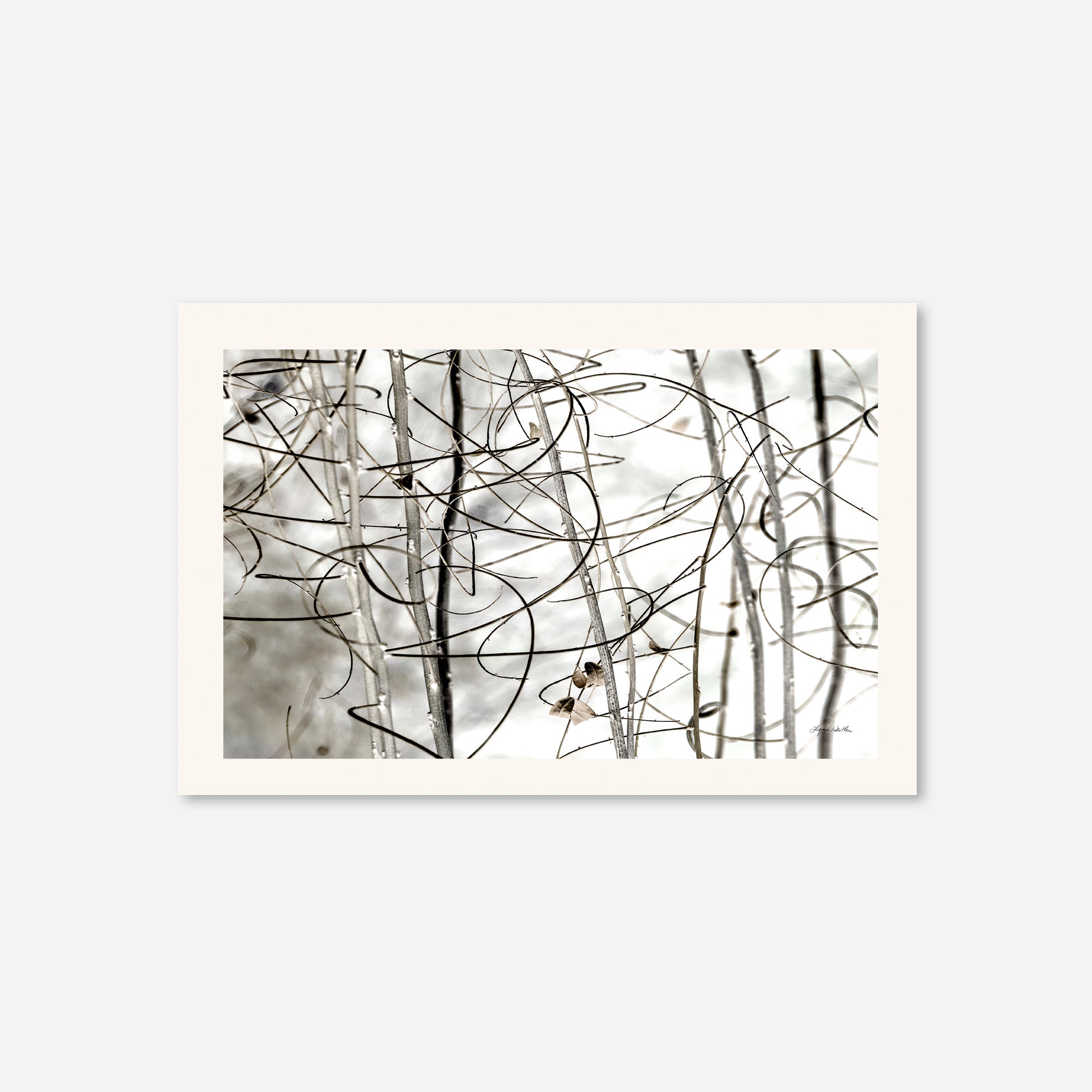 Twigs no. 1