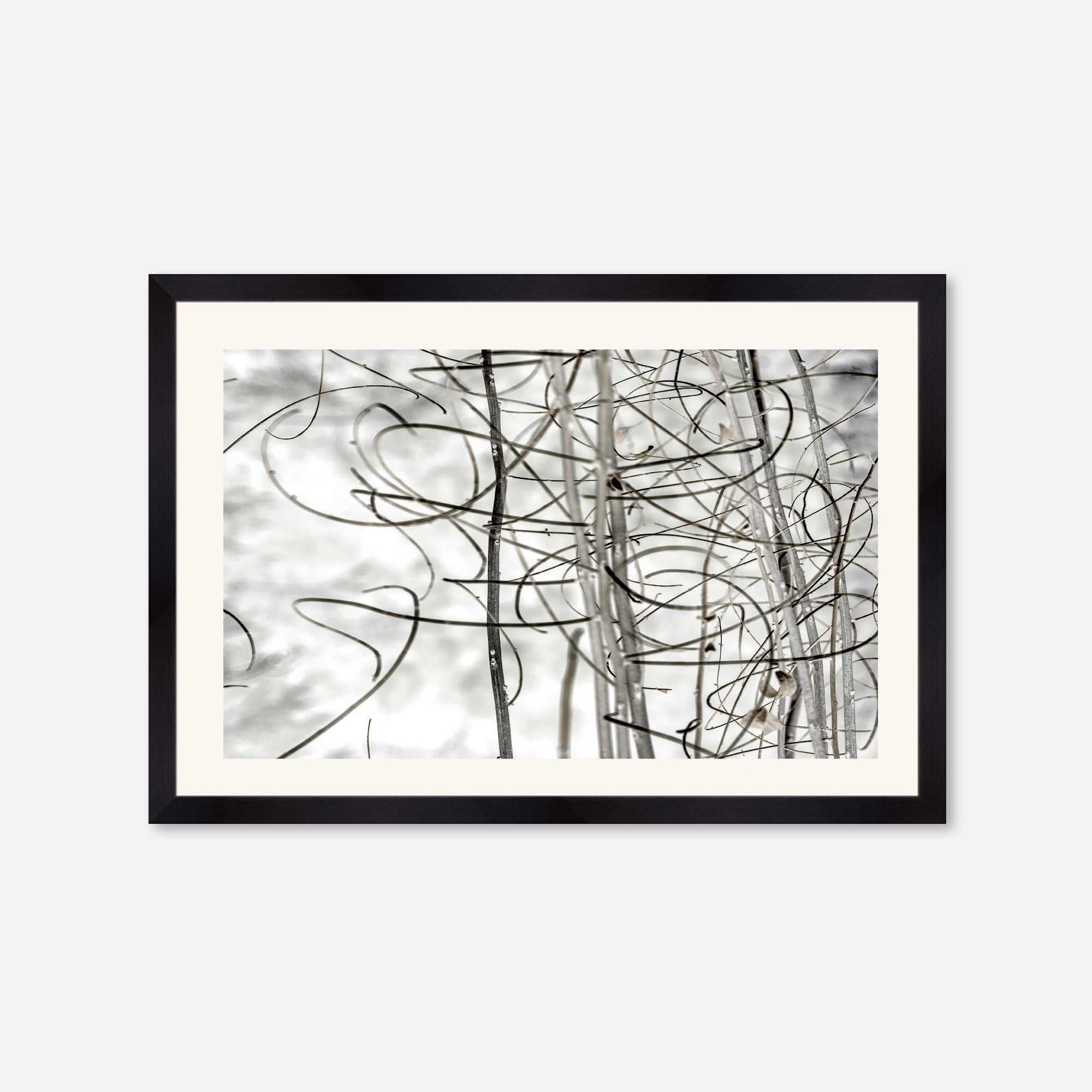 Twigs no. 2