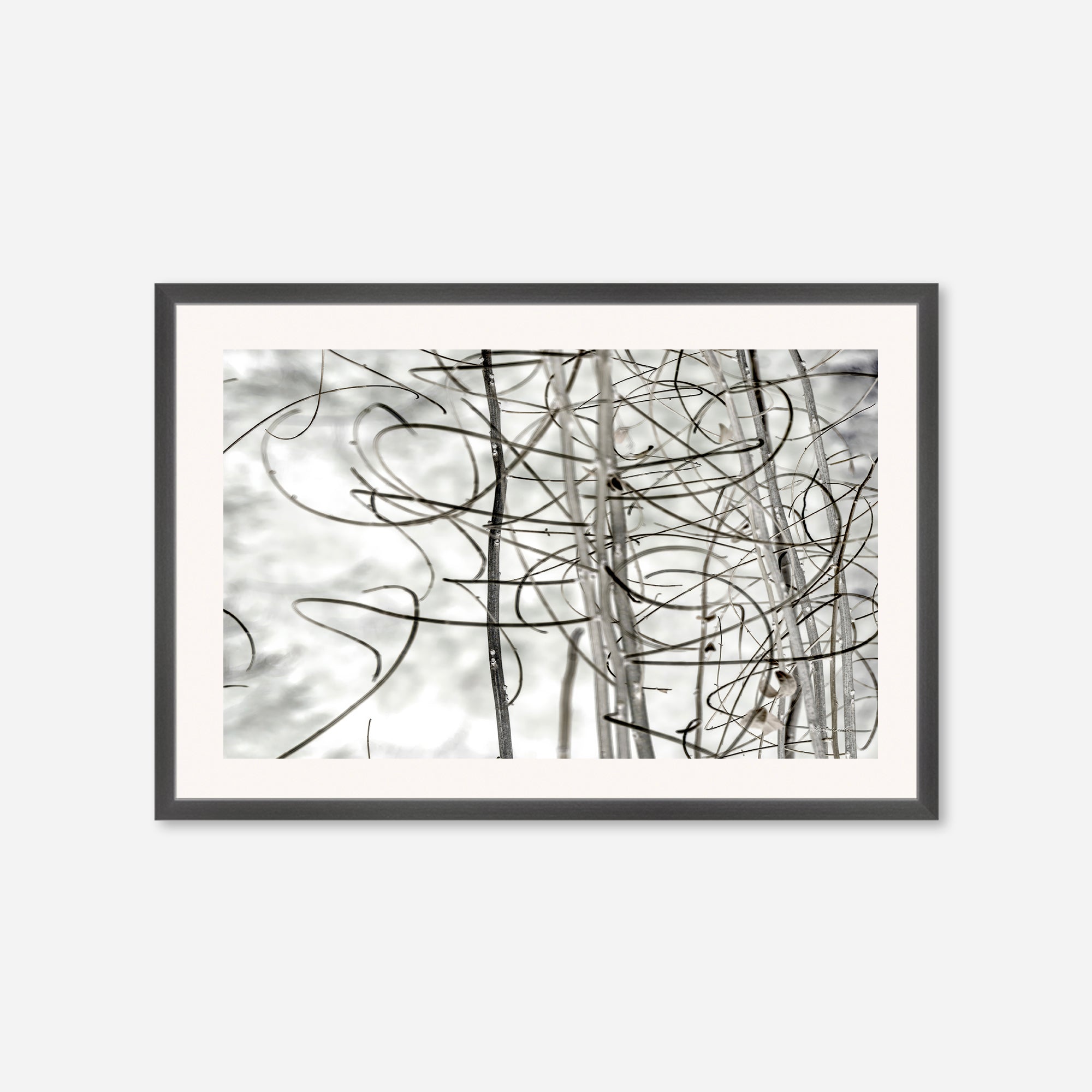 Twigs no. 2