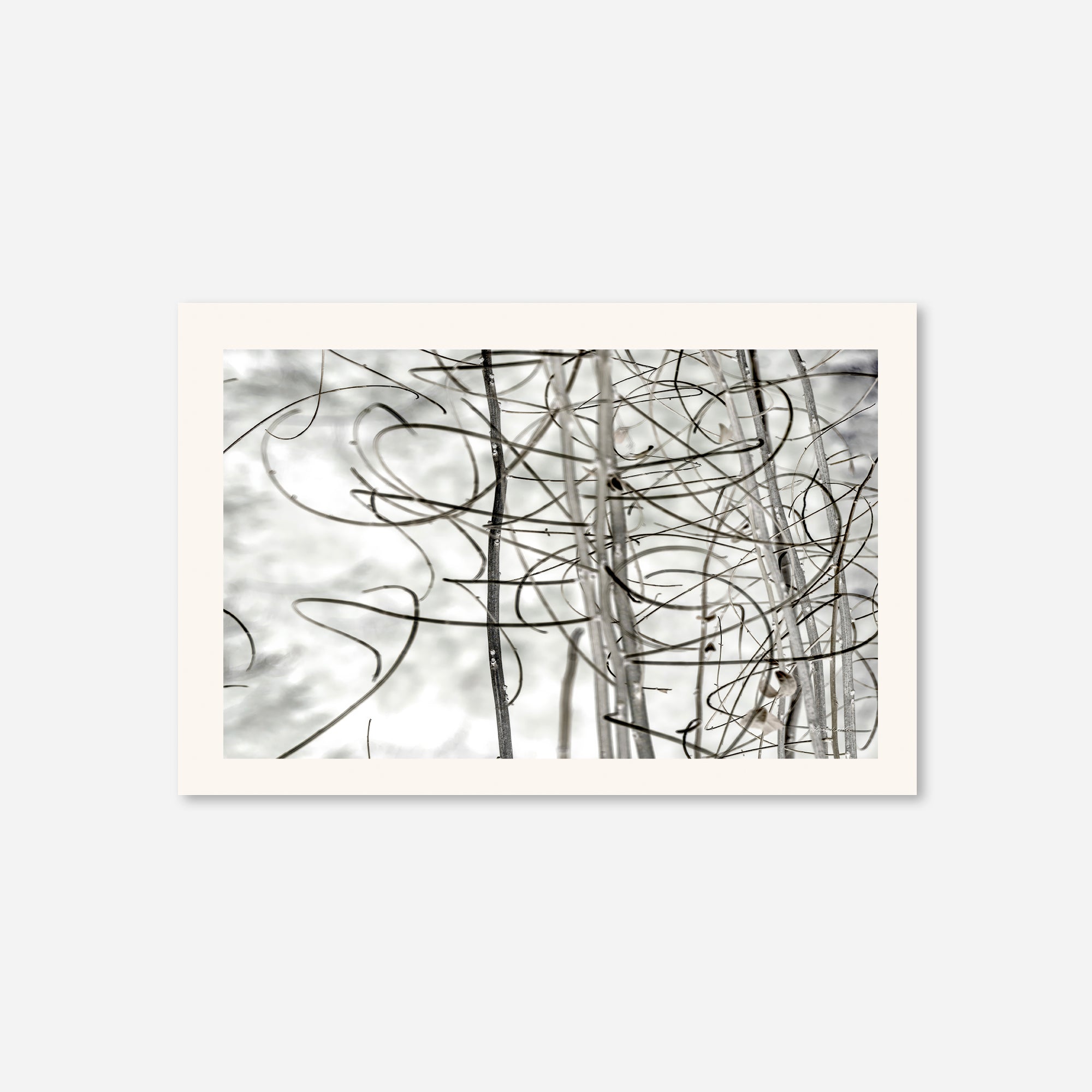 Twigs no. 2